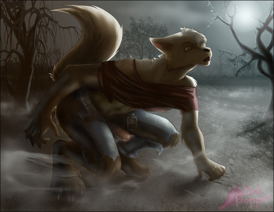 anthro canid canine canis e621 erection fog foreskin genitals humanoid_genitalia humanoid_penis light male mammal moonlight mosa mythological_canine mythological_creature mythology partially_retracted_foreskin penis pink_pepper solo tail transformation werecanid werecanine werecreature werewolf wolf