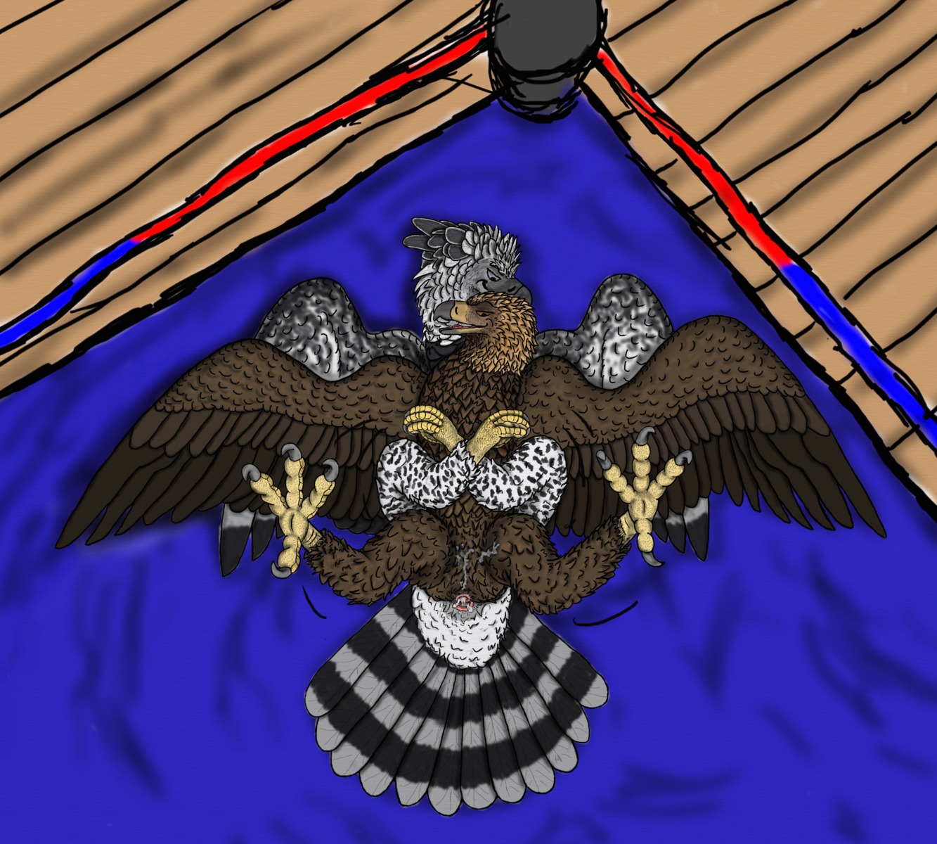 accipitrid accipitriform after_sex animal_genitalia avian avian_feet bird bodily_fluids claws cloaca competition cum cum_from_cloaca cum_in_cloaca cum_inside duo e621 eagle feet feral ferobird fighting_ring genital_fluids genitals golden_eagle harpy_eagle hi_res hindpaw male male/male paws ritchie_(ferobird) round_cloaca sawyer_(ferobird) sex sexual_competition sexual_fight talons toe_claws toes true_eagle wet wrestling