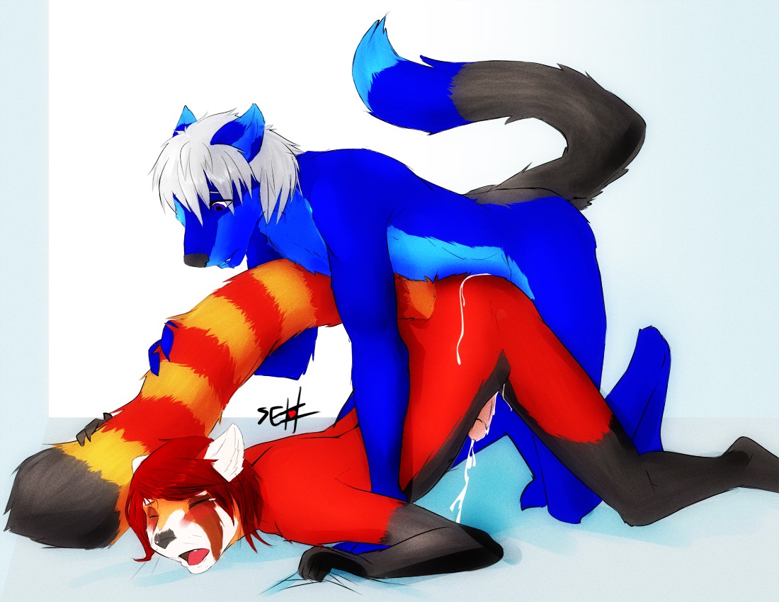 ailurid all_fours anal anal_penetration anthro anthro_on_anthro ass_up blush bodily_fluids butt cum cum_in_ass cum_inside cum_on_butt cum_while_penetrated digital_media_(artwork) doggystyle duo e621 erection eyes_closed fluffy fluffy_tail from_behind_position genital_fluids genitals grey_hair hair humanoid_genitalia humanoid_penis male male/male male_penetrated male_penetrating male_penetrating_male mammal nude penetration penis purple_eyes red_hair red_panda seth-iova sex simple_background tail white_background