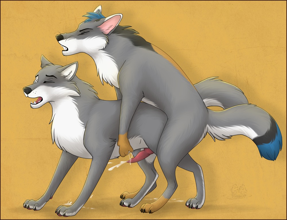 all_fours anal anal_penetration animal_genitalia animal_penis bodily_fluids border canid canine canine_genitalia canine_penis canis claws cum cum_while_penetrated cumshot digitigrade dipstick_tail doggystyle duo e621 ejaculation erection eyes_closed feral feral_on_feral fox from_behind_position genital_fluids genitals hair hands-free hybrid knot male male/male male_penetrated male_penetrating male_penetrating_male mammal markings nude nyashia open_mouth orgasm penetration penis quadruped red_border sex simple_background tail tail_markings wolf