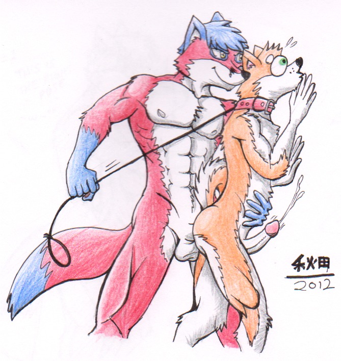 2012 anal anal_penetration anthro balls canid canine canis domestic_dog duo e621 erection fox genitals habuwolfdog kazumafox male male/male male_penetrated male_penetrating male_penetrating_male mammal penetration penis sex