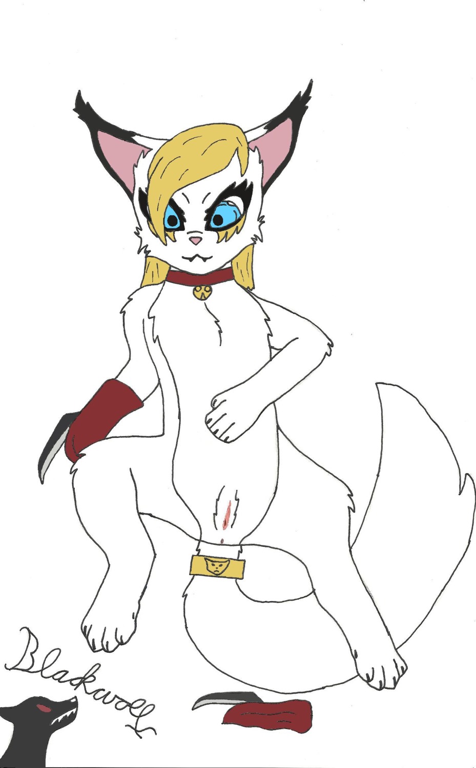 anus blackwolf blonde_hair blue_eyes chest_tuft claws collar domestic_cat e621 facial_markings felid feline felis female feral fur genitals hair head_markings hi_res looking_at_viewer mammal markings solo spread_legs spreading tail teeth tuft vulva weapon