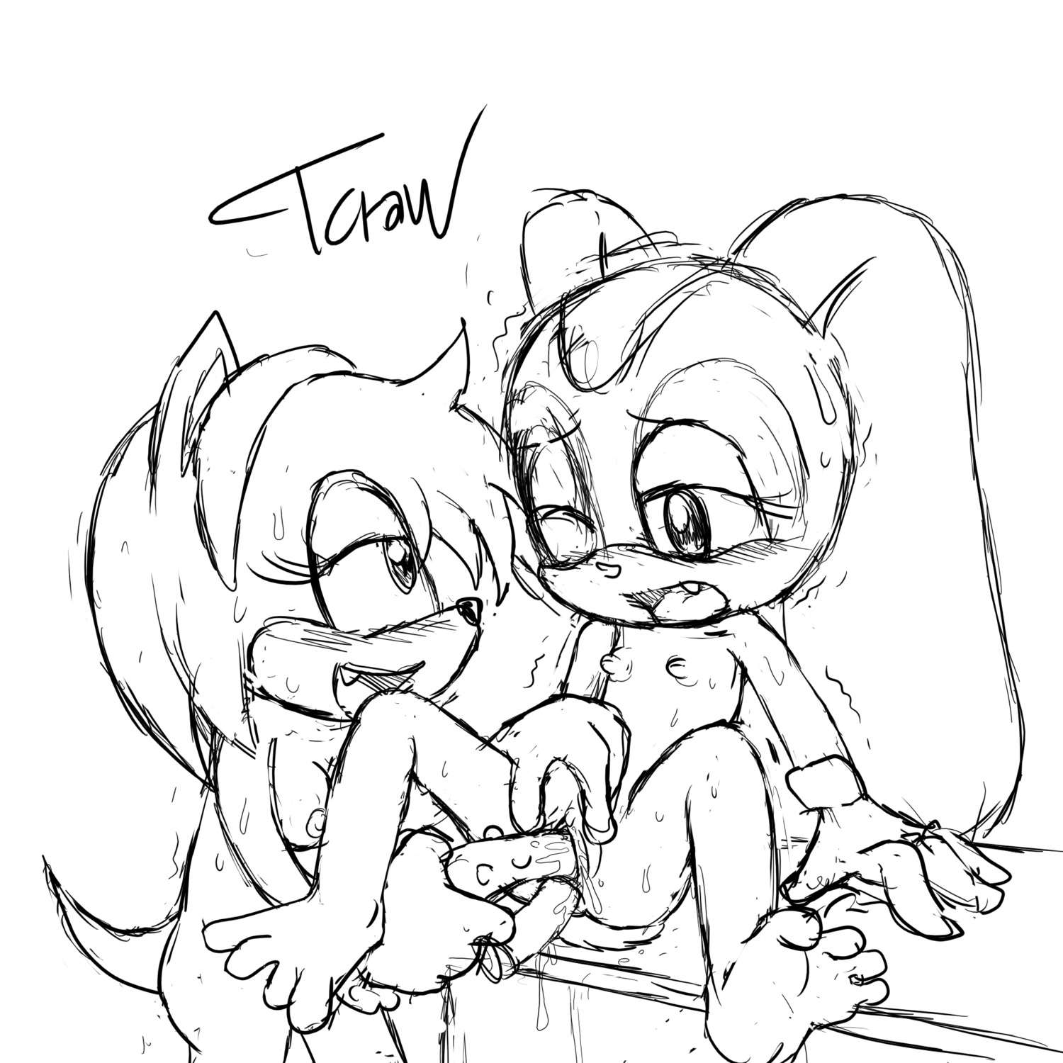 amy_rose anthro cream cream_the_rabbit feet female female_only fur furry hedgehog interspecies monochrome multiple_females rabbit rule34 sega sketch sonic_(series) sonic_the_hedgehog_(series) yuri