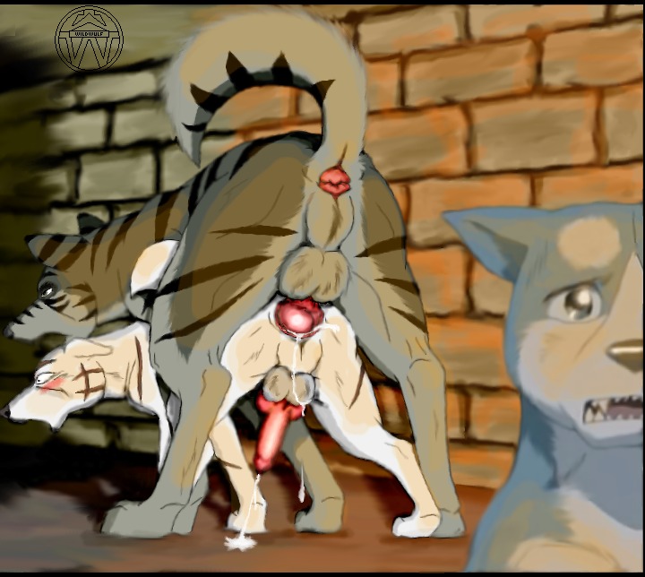 akita anal anal_sex anus balls canine canine_penis cum cum_inside dangerdoberman feral furry furry_only gay ginga_(series) ginga_densetsu_weed kagetora_(ginga) knot kyoshiro_(ginga) male no_humans open_mouth penetration penis raised_tail rule34 tail weed_(ginga)
