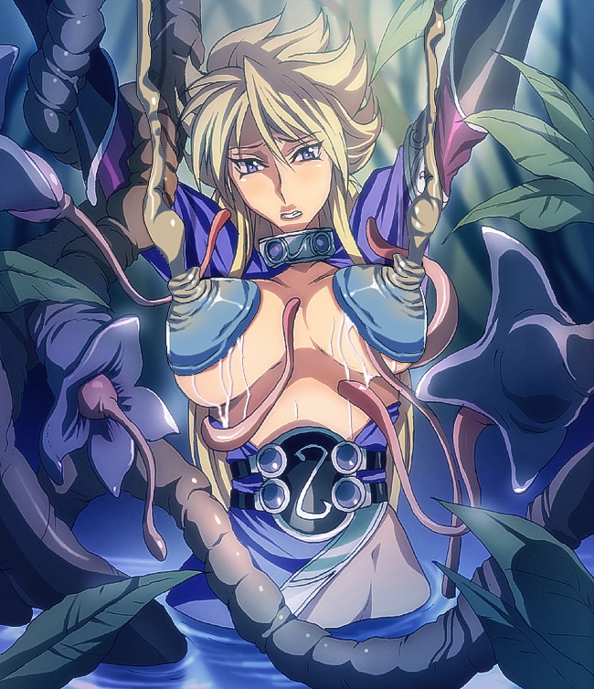 breasts breath_of_fire breath_of_fire_ii clothing female large_breasts nina_(breath_of_fire_ii) rule34 tagme