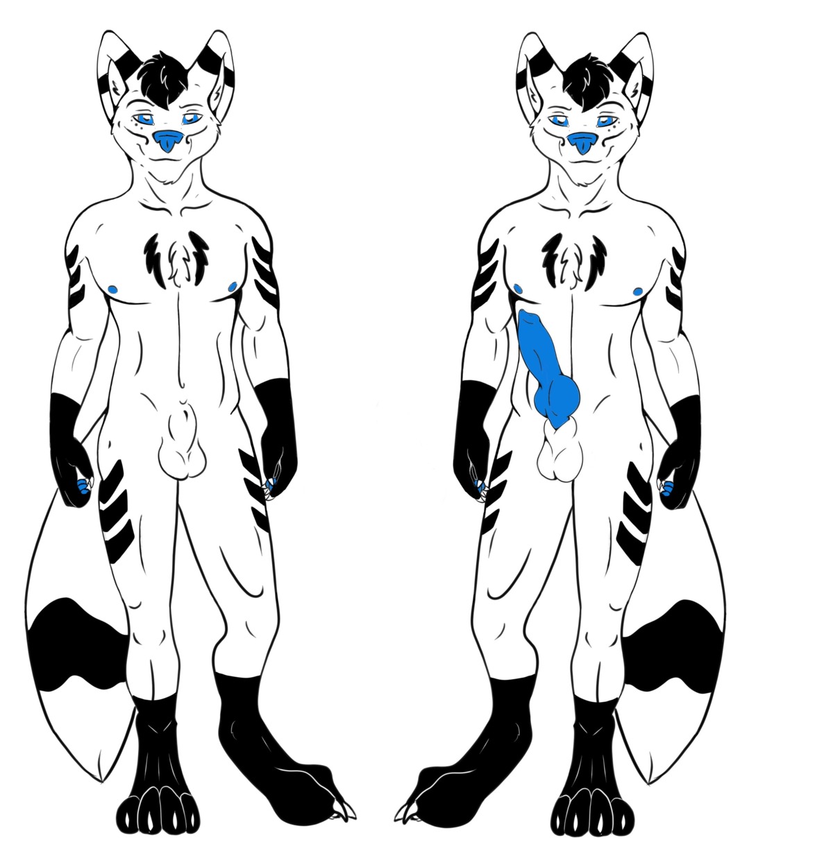 absurd_res animal_genitalia animal_penis anthro big_penis blue_eyes blue_nipples blue_nose blue_penis canid canine canine_genitalia canine_penis chevron_(chevronfox) chevron_(marking) chevronfox e621 erection fox fully_sheathed genitals gloves_(marking) hi_res knot leg_markings male mammal markings model_sheet nipples penis sheath simple_background socks_(marking) solo tail white_background