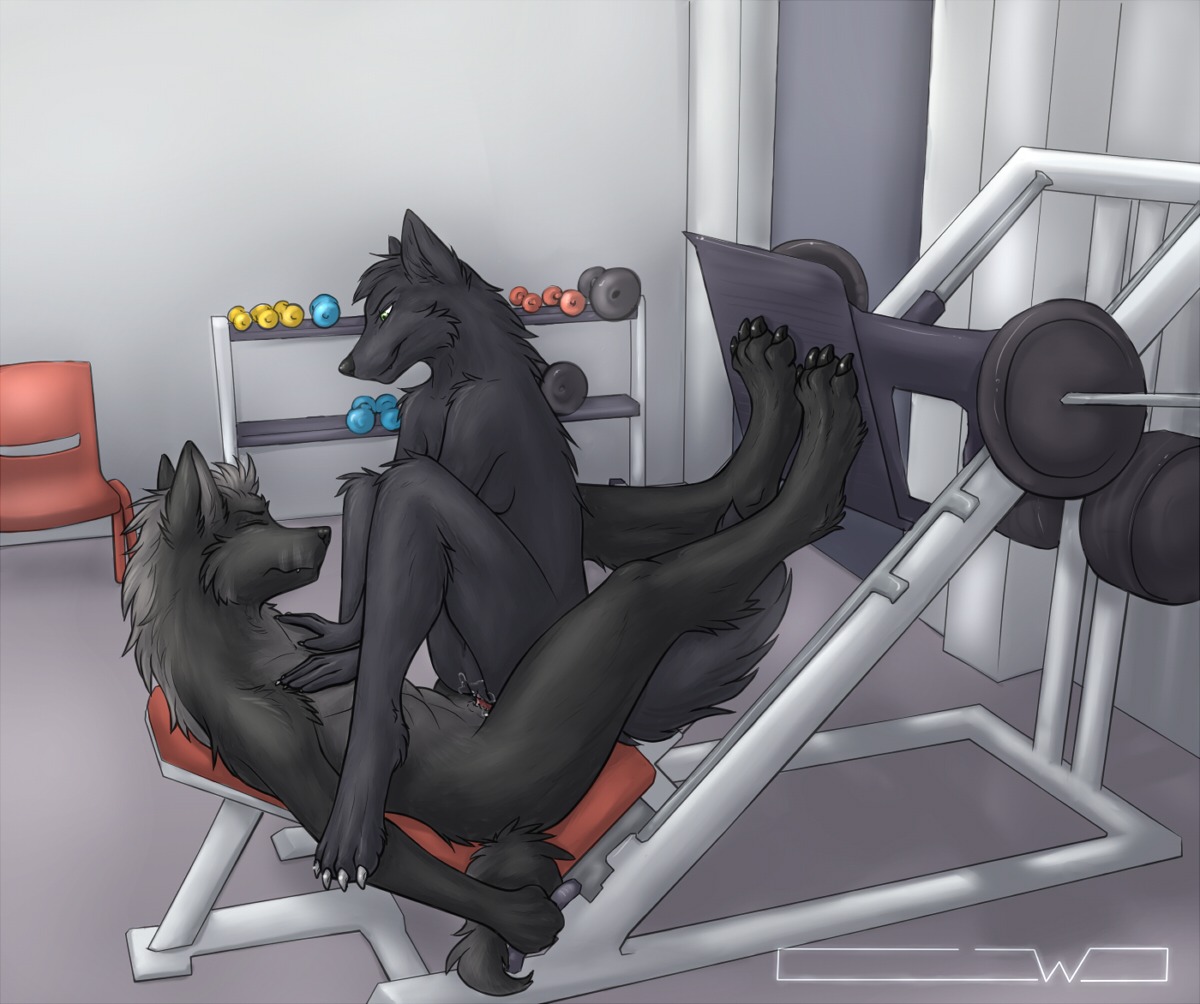 2012 4_toes abs anthro black_body black_fur bodily_fluids breasts canid canine canis catwolf chair cum cum_in_vagina cum_inside duo e621 eyes_closed feet female female_penetrated fur furniture genital_fluids genitals gym legs_up lying male male/female male_penetrating male_penetrating_female mammal nude on_back penetration penile penile_penetration penis penis_in_vagina sex side_boob tail toes vaginal vaginal_penetration vulva weights wolf