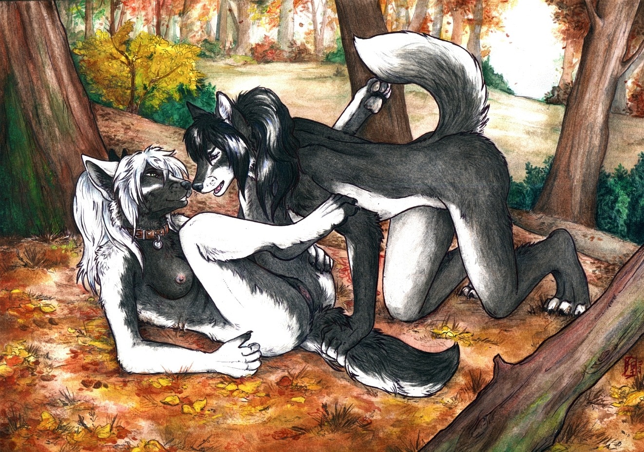 4_toes anthro black_body black_fur black_hair breasts canid canine canis claws detailed_background digitigrade domestic_dog dominant dominant_female duo e621 eye_contact feet female female/female forest fur genitals hair hindpaw husky jacki_northstar leash legs_up looking_at_another lying mammal nipples nordic_sled_dog nude on_back outside pawpads paws plant spitz submissive submissive_female tail tanutanuki toes tree vulva white_body white_fur white_hair wolf