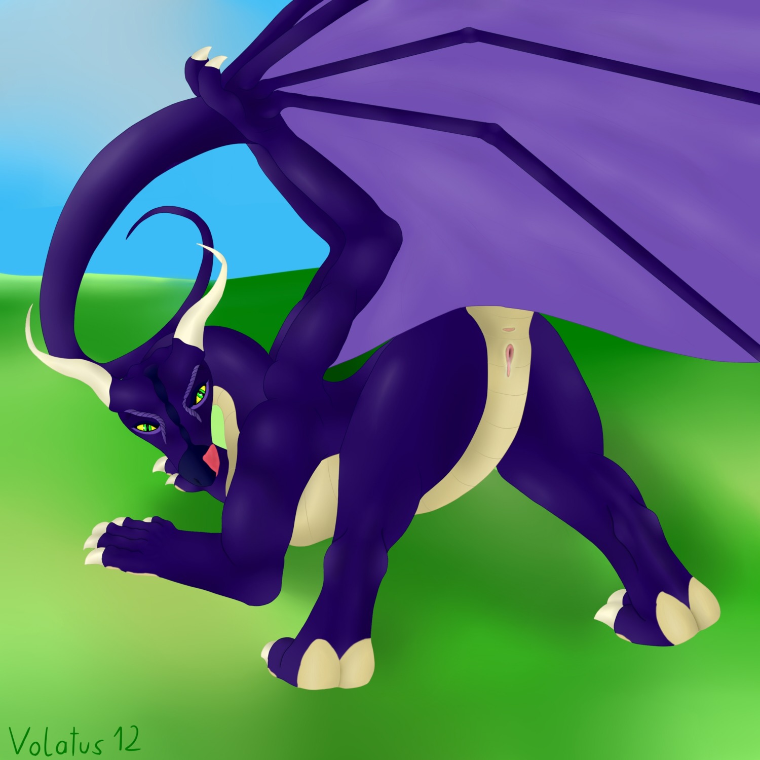1:1 2012 anus butt dragon e621 european_mythology female feral genitals hi_res looking_at_viewer membrane_(anatomy) membranous_wings mythological_creature mythological_scalie mythology presenting scalie solo spread_legs spreading tail volatus vulva western_dragon wings
