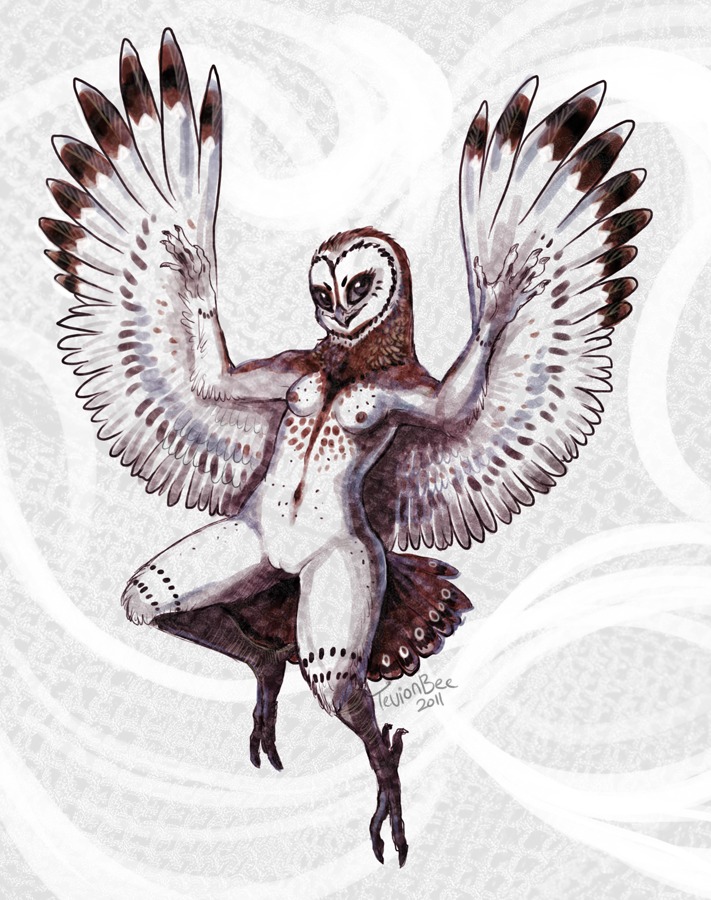 2011 anthro avian beak bird breasts e621 feathered_wings feathers female genitals non-mammal_breasts nude owl solo tevionbee vulva winged_arms wings