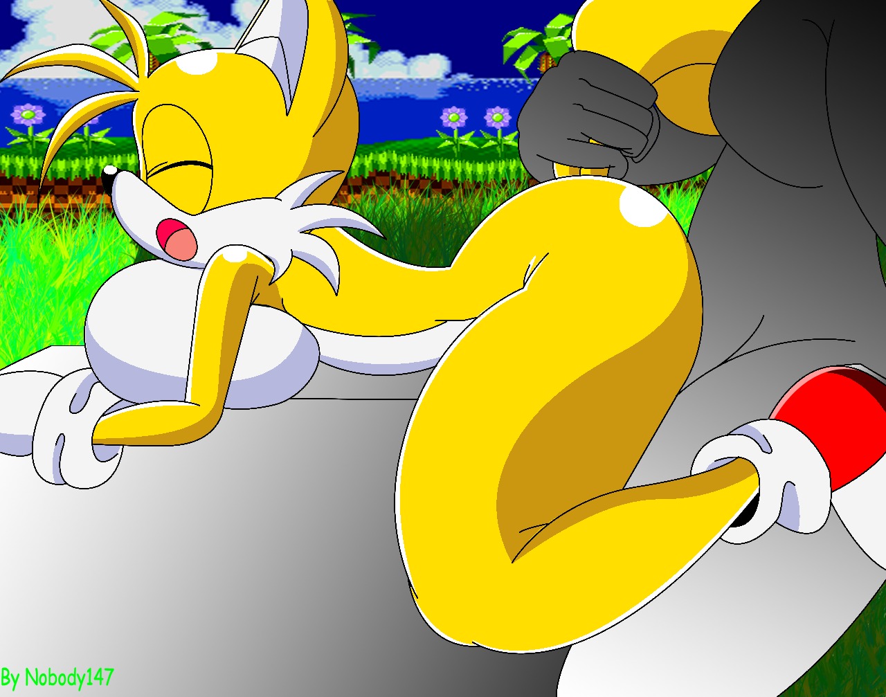 anthro canine exposed_torso female footwear fox fur furry furry_tail handwear interspecies miles_tails_prower mostly_nude multi_tail nobody147 rule34 rule_63 sex sonic_(series) sonic_the_hedgehog_(series) sonic_the_hedgehog_2 tail tails tails_the_fox tailsko