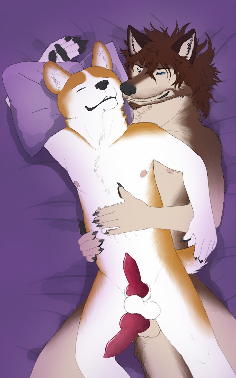 2011 animal_genitalia animal_penis anthro balls bed brown_body brown_fur canid canine canine_genitalia canine_penis canis domestic_dog duo e621 erection eyes_closed from_behind_position fur furniture genitals herding_dog hi_res knot lying male male/male mammal nipples nude on_side pastoral_dog penis pillow sex spoon_position theslateguardian thigh_sex welsh_corgi wolf