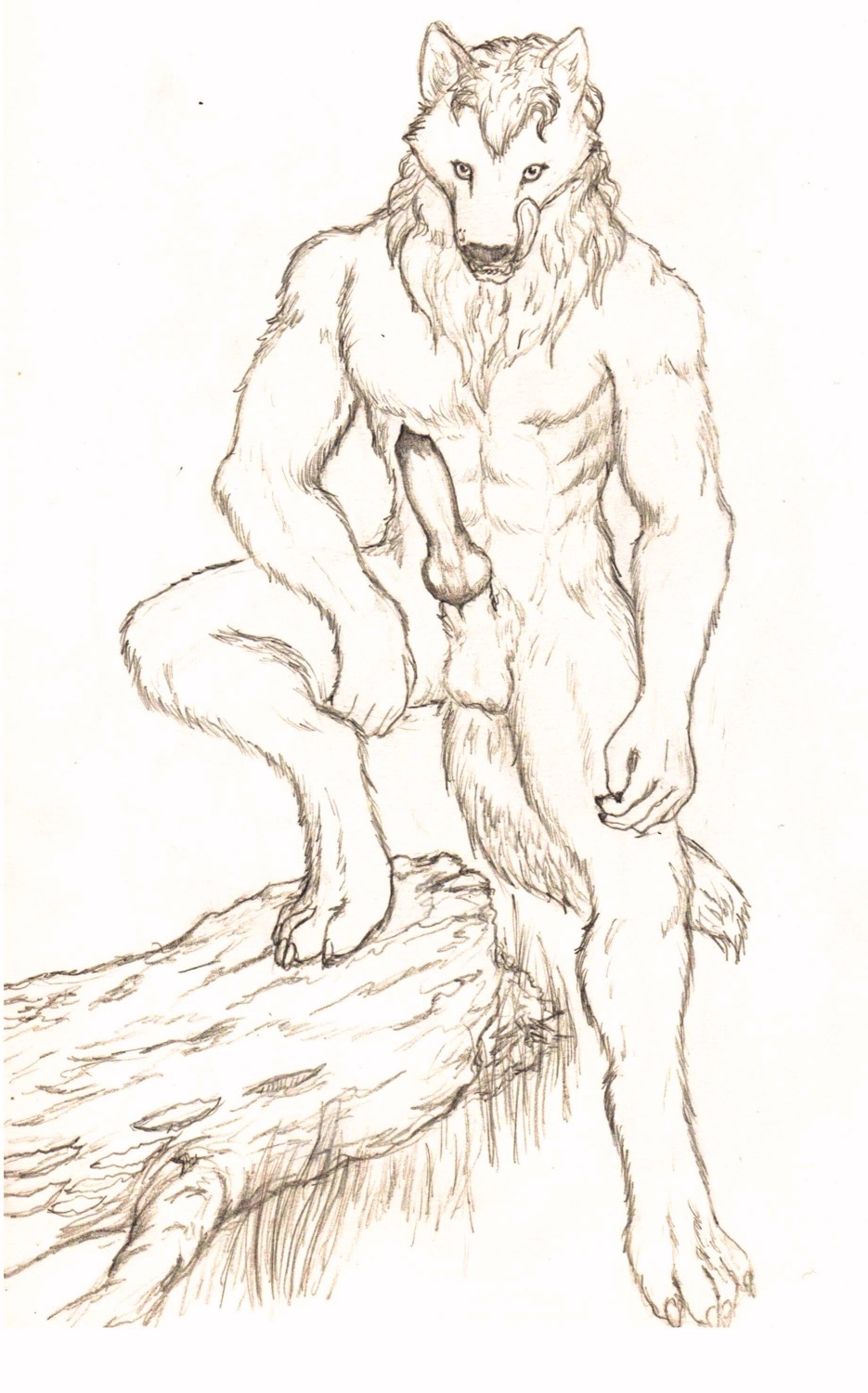 absurd_res animal_genitalia animal_penis anthro biped canid canine canine_genitalia canine_penis canis conditional_dnp cracky e621 erection front_view full-length_portrait fur genitals graphite_(artwork) hi_res knot licking licking_lips licking_own_lips male mammal monochrome mythological_canine mythological_creature mythology nameles_wolf_(cracky) nude penis plant portrait pose presenting self_lick sepia sheath simple_background solo spread_legs spreading standing step_pose tail tongue tongue_out traditional_media_(artwork) tree tree_trunk werecanid werecanine werecreature werewolf white_background wolf