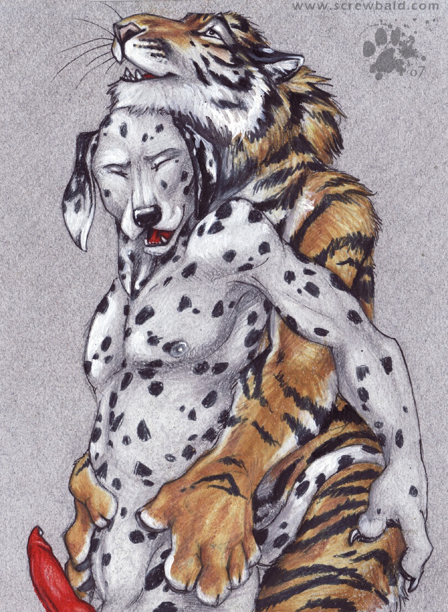 2007 anal anal_penetration animal_genitalia animal_penis anthro anthro_on_anthro balls_deep blotch bodily_fluids canid canine canine_genitalia canine_penis canis cuddling dalmatian domestic_dog duo e621 erection felid genital_fluids genitals hi_res interspecies knot looking_pleasured male male/male male_penetrated male_penetrating male_penetrating_male mammal nude pantherine penetration penis precum scratches_volume_1 sex spots stripes tail tiger traditional_media_(artwork)