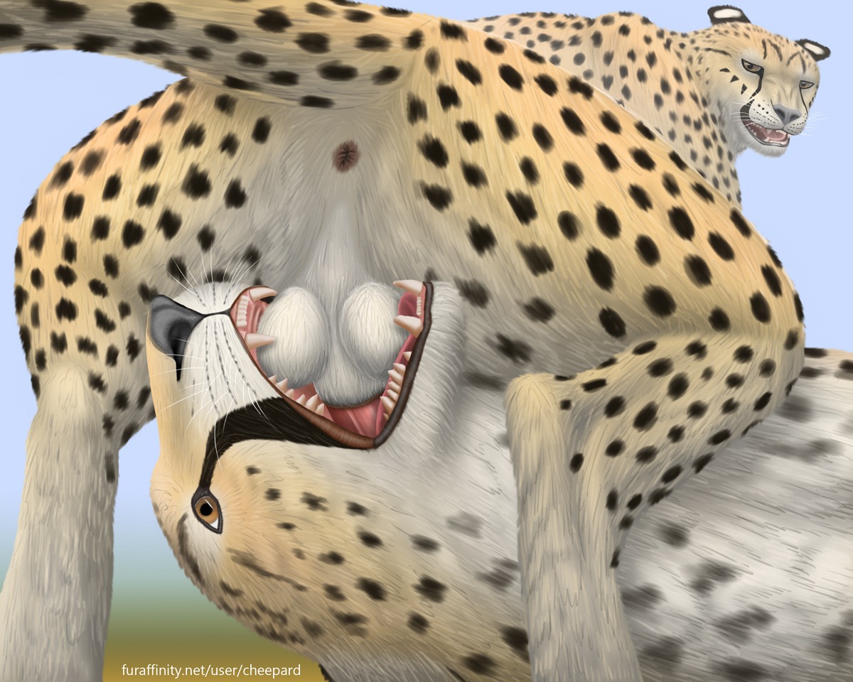 5:4 ambiguous_gender anatomically_correct animal_genitalia animal_penis anus ball_lick balls balls_deep cheepard cheetah close-up deep_throat duo e621 erection fangs felid feline feline_genitalia feline_penis fellatio feral forced forced_oral genital_close-up genital_danger_play genitals interspecies irrumatio licking male mammal oral oral_penetration penetration penile penis penis_in_mouth sex teeth text throat_swabbing tongue tongue_out url