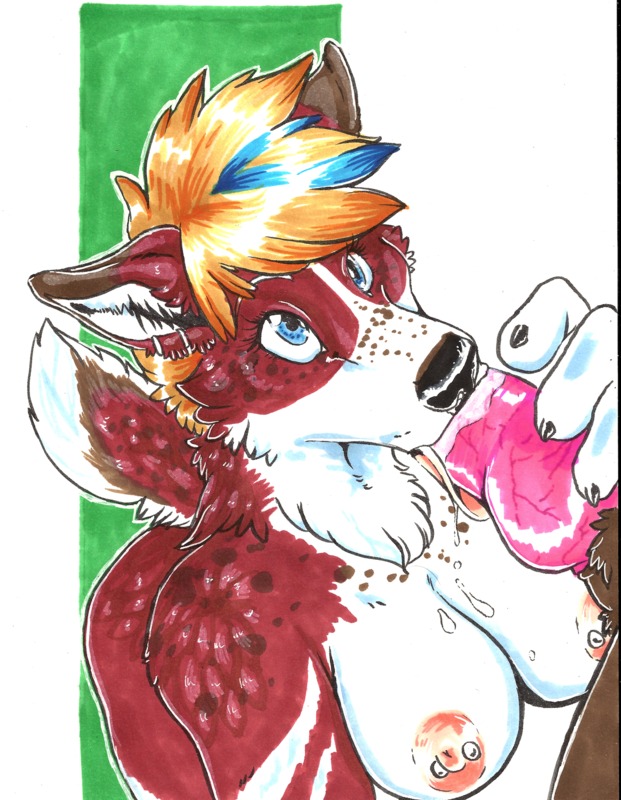 anthro canine fellatio female fur furry iggi knot nipple_piercing nipples oral oral_sex piercing rule34 sex
