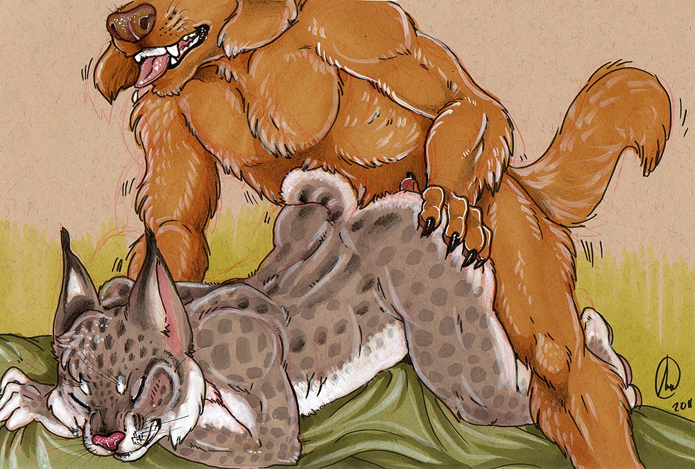 2011 all_fours anal anal_penetration anthro anthro_on_anthro canid canine canis doggystyle domestic_dog duo e621 eyes_closed felid feline from_behind_position gravewalker lying lynx male male/male male_penetrated male_penetrating male_penetrating_male mammal nude on_front penetration raised_tail sex tail traditional_media_(artwork)