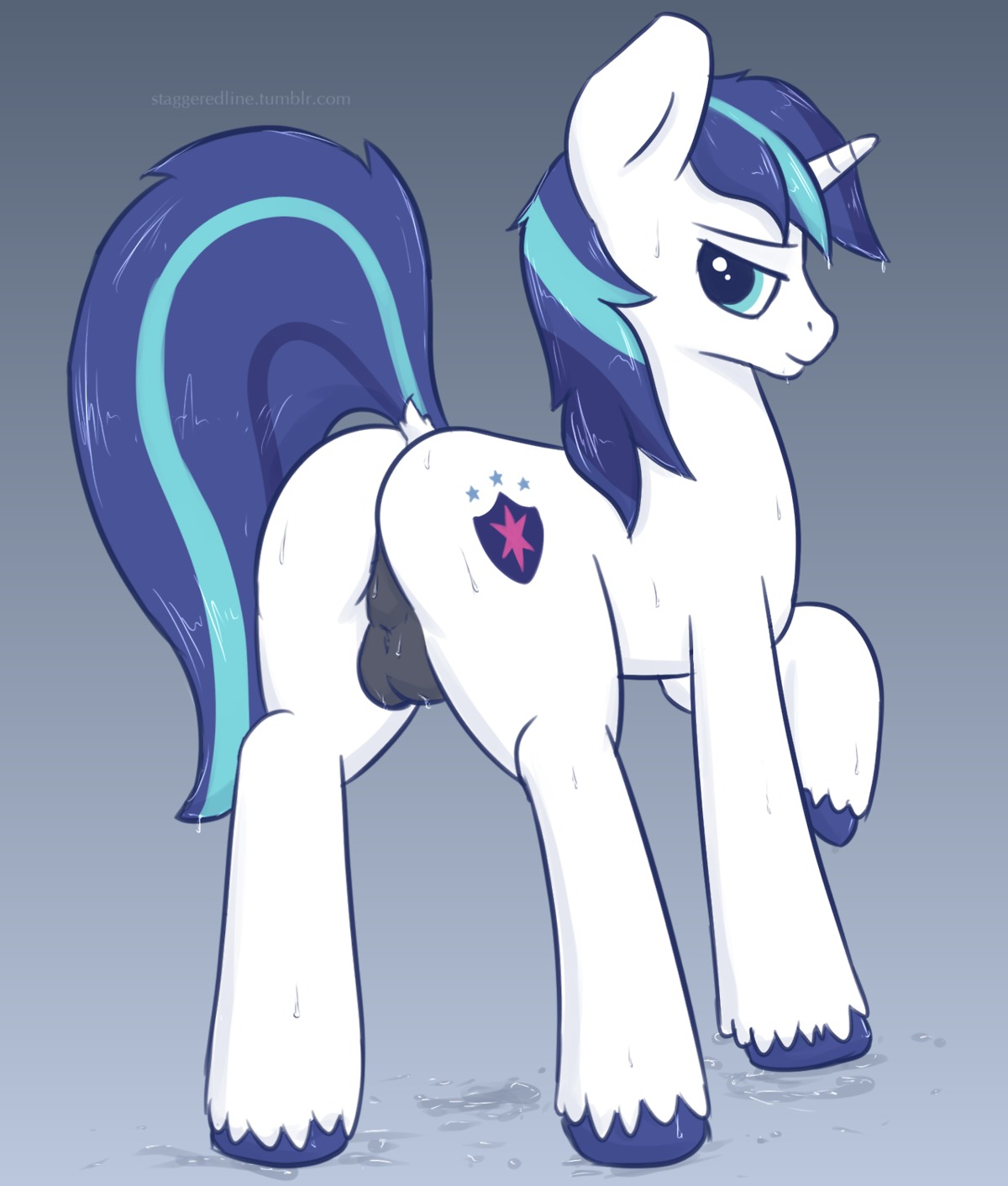 2014 backsack balls blue_eyes blue_hair butt cutie_mark e621 equid equine feral friendship_is_magic fur genitals hair hasbro hi_res horn looking_at_viewer looking_back male mammal multicolored_hair my_little_pony mythological_creature mythological_equine mythology shining_armor_(mlp) smile solo staggeredline two_tone_hair unicorn wet white_body white_fur