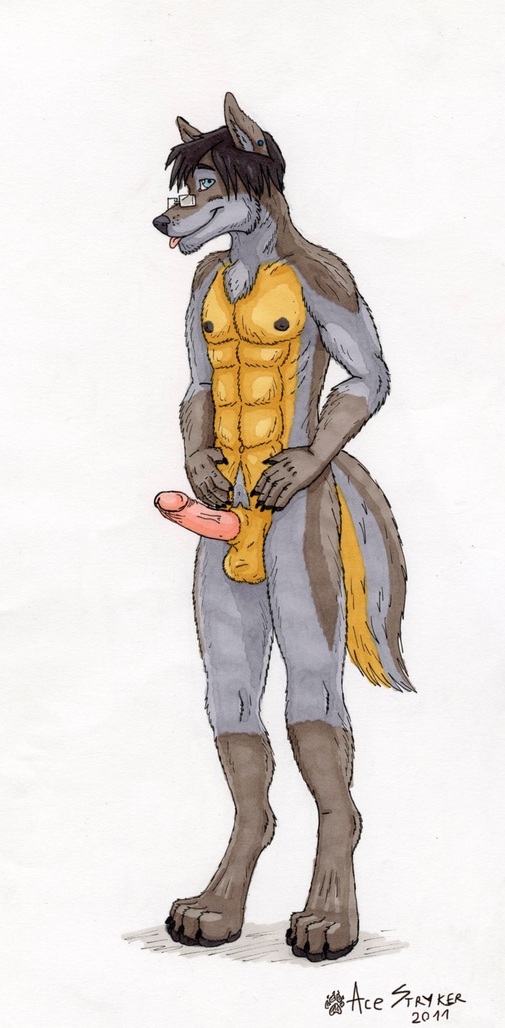 2011 absurd_res ace_stryker anthro balls blue_eyes canid canine canis e621 erection eyewear genitals glasses hi_res looking_at_viewer male mammal nude penis solo tail wolf