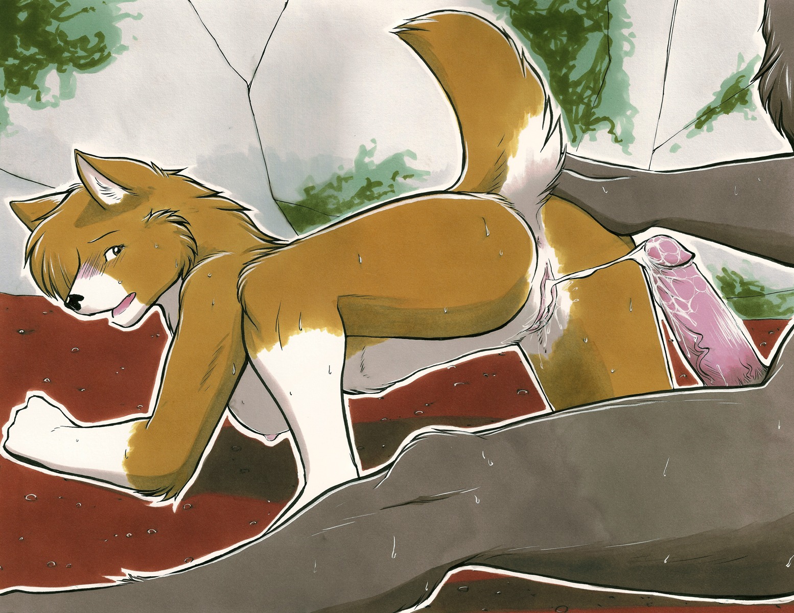 after_sex all_fours anthro anus blush bodily_fluids breasts butt canid canine canis cum cum_in_vagina cum_inside cum_string digital_media_(artwork) domestic_dog duo e621 female fur genital_fluids genitals glans hand_on_butt herding_dog hi_res humanoid_genitalia humanoid_penis larger_male looking_back male male/female mammal marker_(artwork) meesh mythological_canine mythological_creature mythology nipples nude open_mouth pastoral_dog penis raised_tail size_difference smaller_female spread_butt spreading sweat tail tail_anus traditional_media_(artwork) vaginal_fluids vein vulva welsh_corgi werecanid werecanine werecreature werewolf wolf