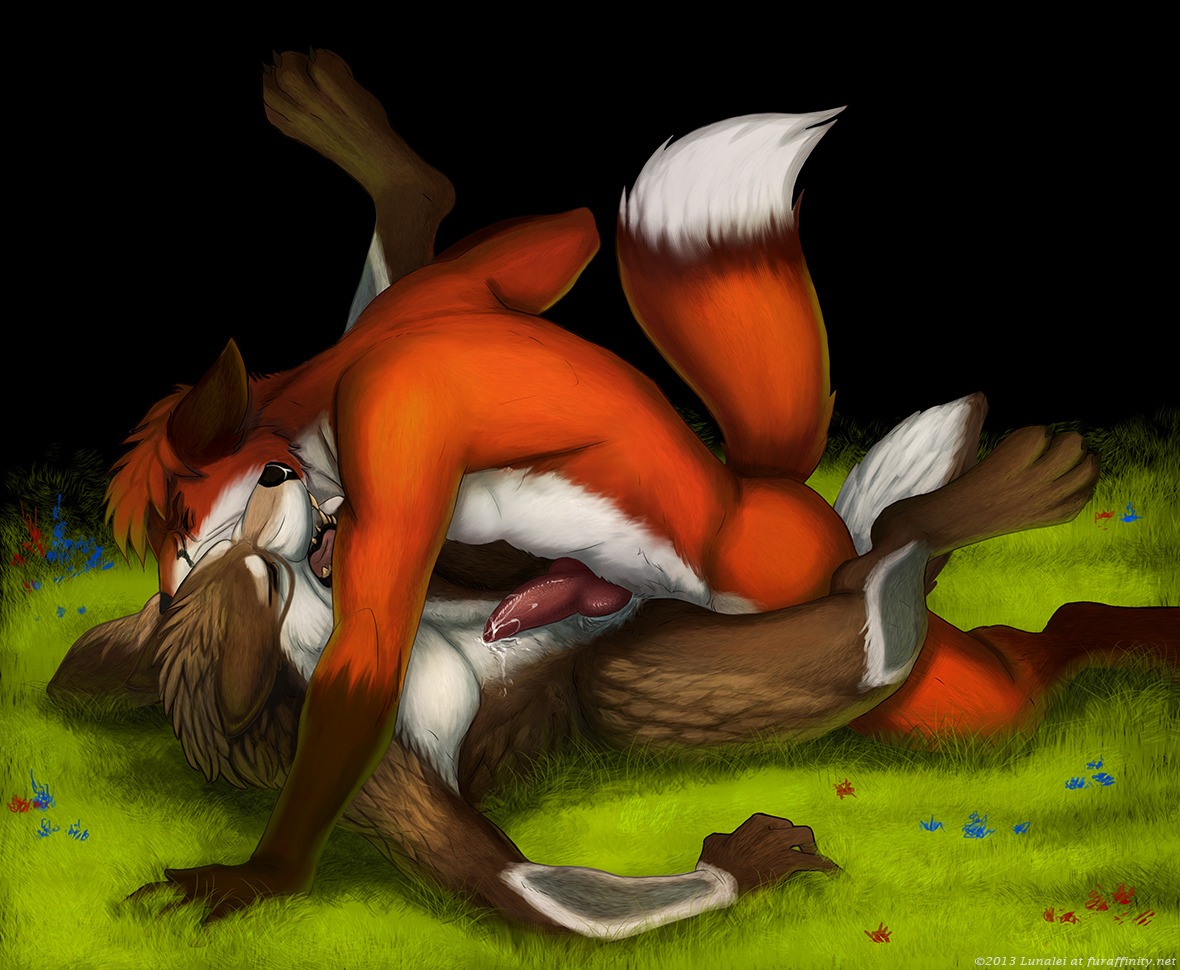 2013 anal anal_penetration animal_genitalia animal_penis anthro anthro_on_anthro bite black_nose brown_body brown_fur canid canine canine_genitalia canine_penis canis duo e621 erection eyes_closed fangs fox fur genitals grass interspecies jasonwerefox leg_markings lunalei lying male male/male male_penetrated male_penetrating male_penetrating_male mammal markings nude on_back open_mouth orange_body orange_fur penetration penis plant red_fox sex socks_(marking) spread_legs spreading tail teeth text true_fox tyins_darkwulf url werecanid werecanine werecreature werefox white_body white_fur wolf