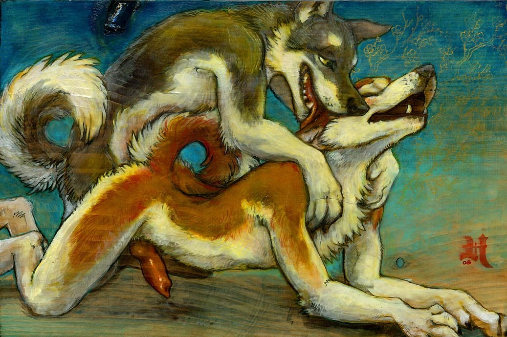 2008 all_fours anal anal_sex anatomically_correct_penis canine canine_penis curled_tail fur furry furry_ears furry_only furry_tail gay humping husky knot male no_humans open_mouth penetration penis raised_tail rule34 sex tail