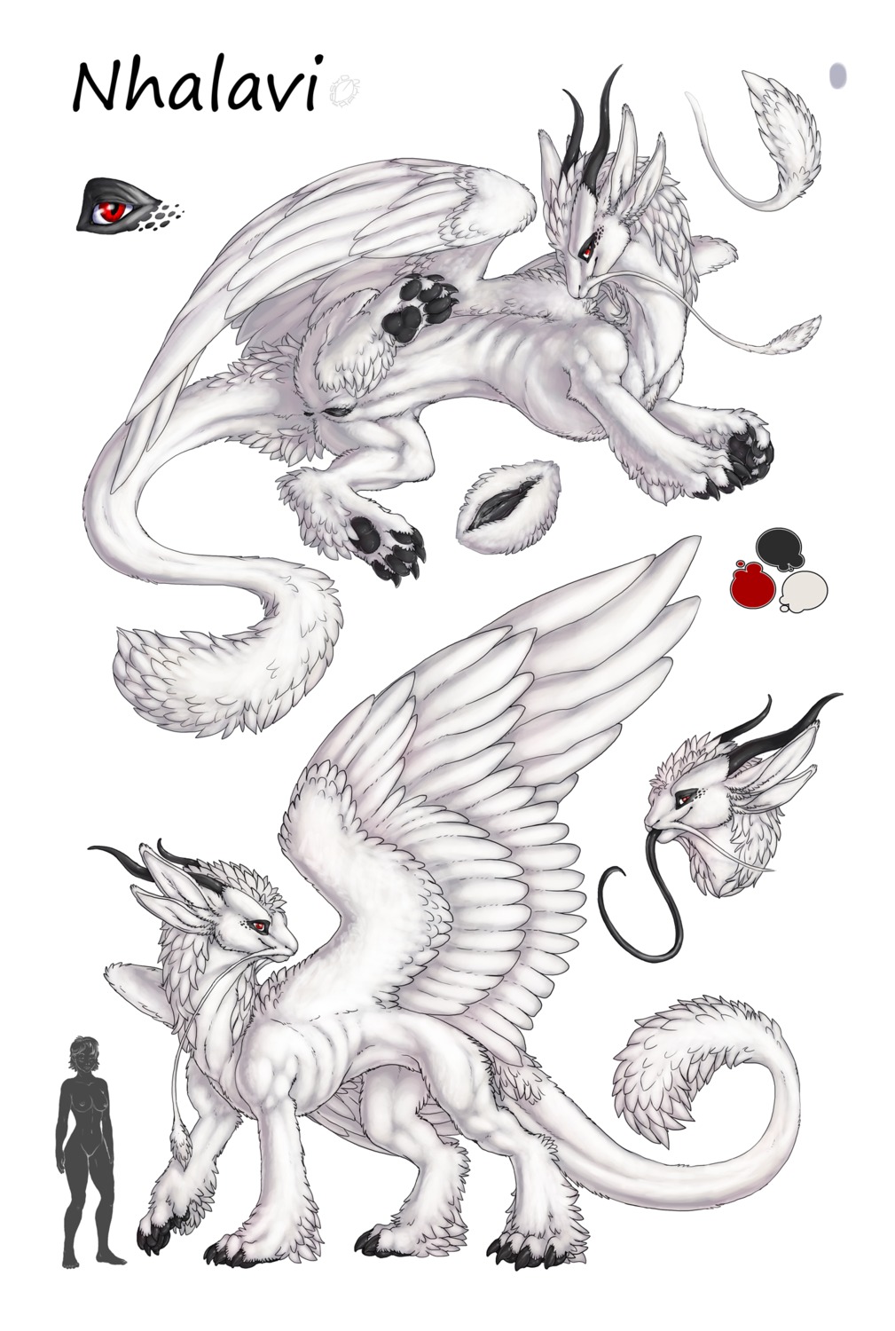acidapluvia anus black_anus black_clitoris black_pawpads black_vulva claws clitoris dragon e621 feathered_wings feathers female feral fur furred_dragon furred_scalie genitals hi_res horn human mammal model_sheet mythological_creature mythological_scalie mythology nhala_levee nhalavi pawpads paws red_eyes scalie side_view solo tail vulva whiskers white_body white_fur wings