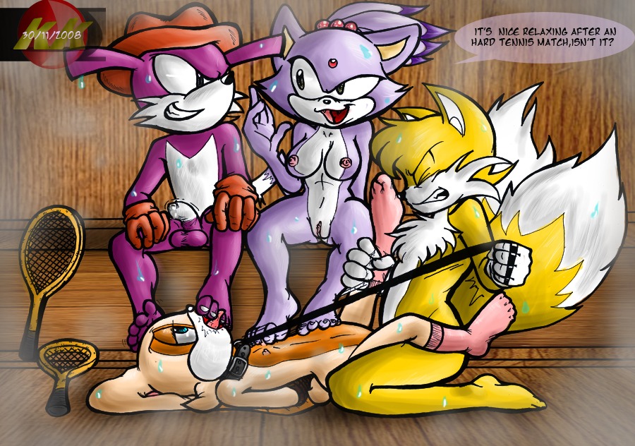 2008 anthro blaze_the_cat canine cat cream_the_rabbit domestic_cat fang_the_hunter fang_the_sniper feline female femsub fox fur lagomorph male mammal rabbit rule34 sega sonic_(series) sonic_the_hedgehog_(series) straight tails tails_the_fox weasel