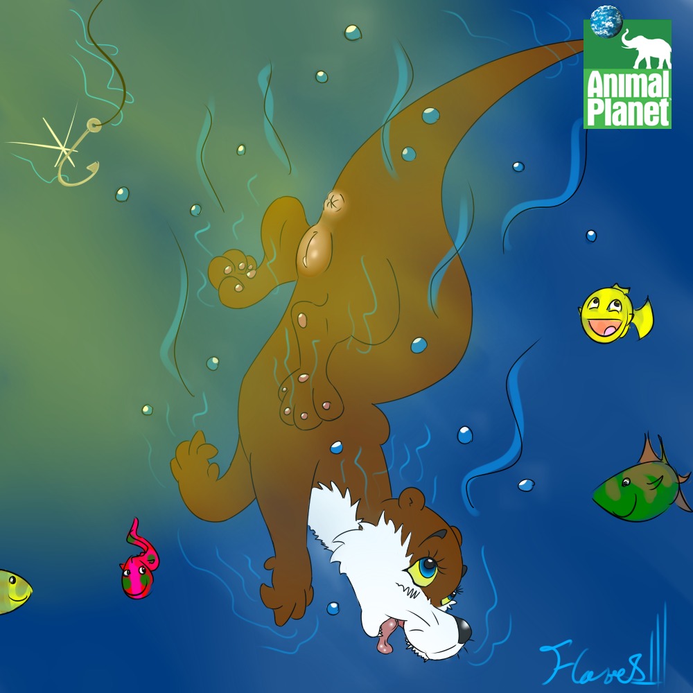 1:1 animal_planet anus aquatic clitoris digital_media_(artwork) e621 female feral fish flakes genitals group hook mammal mustelid otter plump_labia solo_focus tail tongue toony underwater vulva water