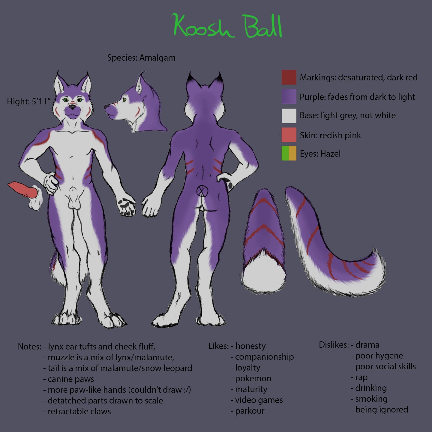 1:1 alaskan_malamute animal_genitalia anthro backsack balls butt canid canine canis color_swatch domestic_dog e621 erection felid feline flaccid fur genitals hi_res knot koosh koosh-ball lynx male mammal model_sheet nordic_sled_dog nude penis purple_body purple_fur sheath side_view solo spitz tail turnaround