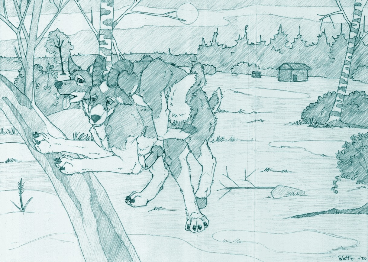 2010 anal animal_genitalia animal_penis artist_request barn canine canine_genitalia canine_penis caprine character_request copyright_request feet feral furry gay goat green_and_white hooves horns knot male multiple_males nature no_humans outside paws penis rule34 sketch tongue trees uncensored wuffe