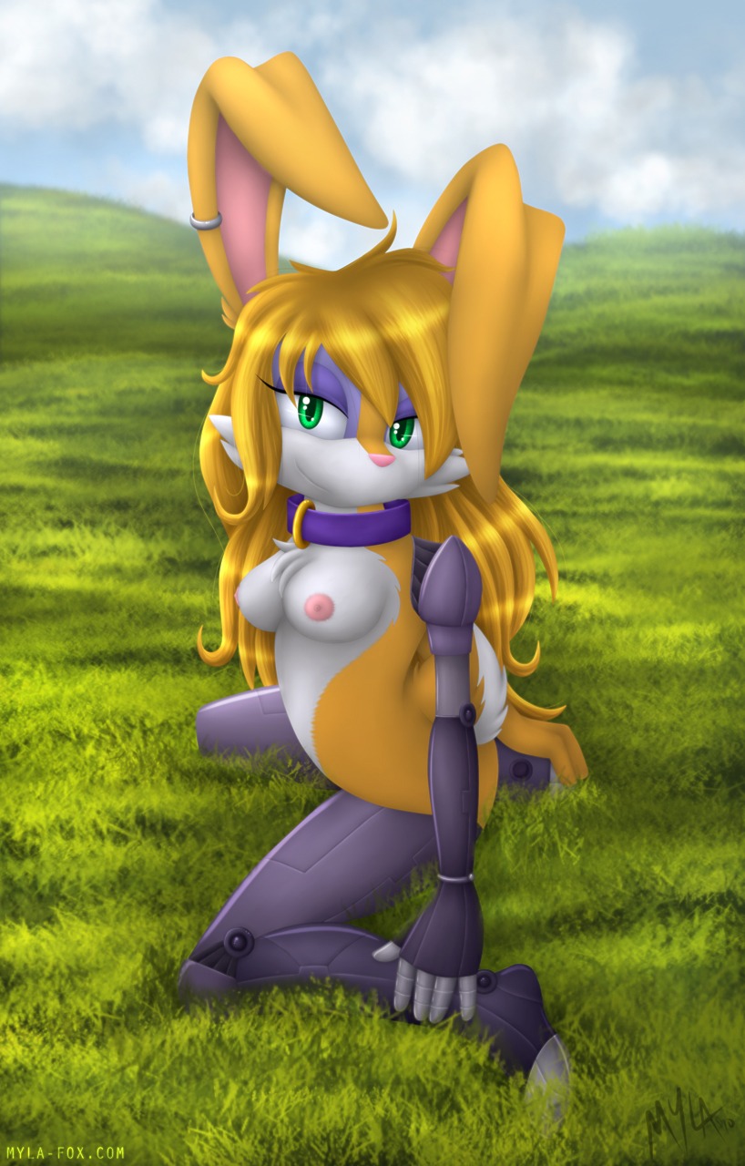 anthro archie_comics breasts bunnie_rabbot color day female female_only fur furry mechanical_arm mechanical_leg mylafox nipples nude orange_fur outdoors pink_nose rabbit rule34 sega side_view smile solo sonic_(series) sonic_the_hedgehog_(archie) sonic_the_hedgehog_(comics) sonic_the_hedgehog_(series) tagme white_fur