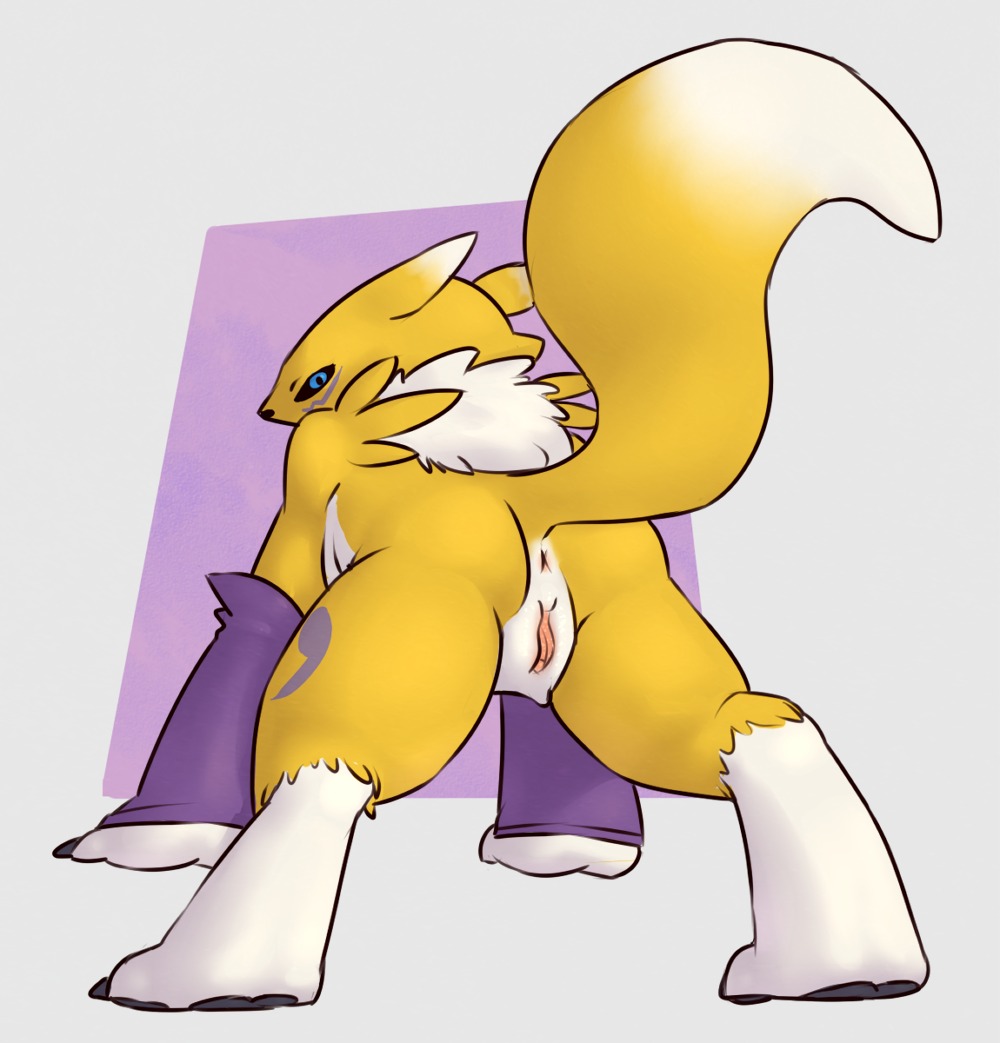 3_toes all_fours anatomically_correct anatomically_correct_genitalia anatomically_correct_vulva animal_genitalia animal_vulva anthro anus bandai_namco barefoot biped black_nose black_sclera blue_eyes butt canid canine canine_genitalia canine_vulva claws clothing digimon digimon_(species) e621 feet female fur genitals gloves handwear long_ears looking_at_viewer looking_back lying mammal mostly_nude on_back pawpads paws ponchuzn presenting presenting_hindquarters presenting_vulva purple_background purple_body purple_fur rear_view renamon shadow simple_background solo tail toes vulva white_background white_body white_fur yellow_body yellow_fur