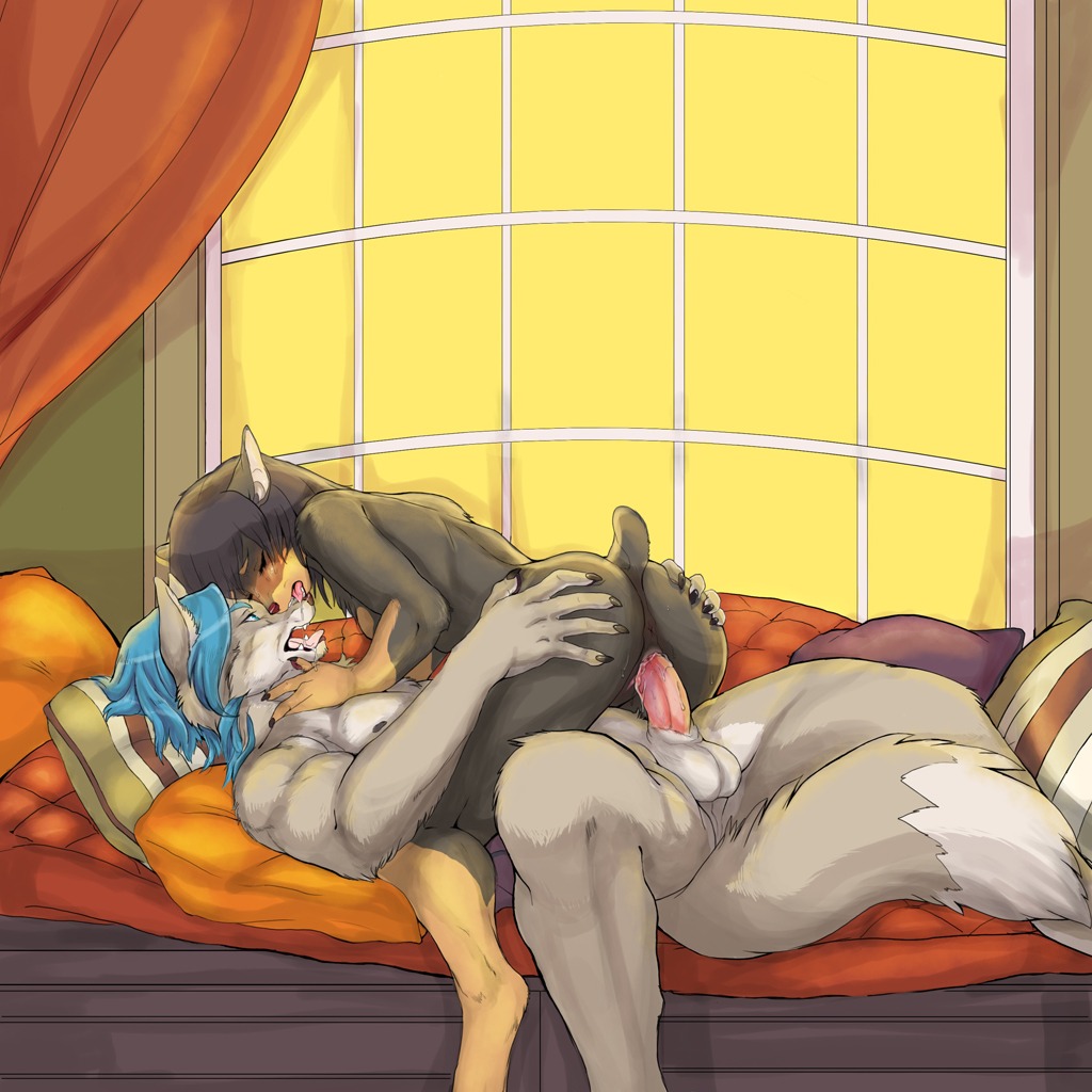 1:1 2013 anthro anus balls blue_eyes blue_hair bodily_fluids canid canine canis dobermann domestic_dog duo e621 erection eyes_closed female female_on_top female_penetrated from_front_position fur genital_fluids genitals grey_body grey_fur hair lying male male/female male_on_bottom male_penetrating male_penetrating_female mammal nude on_back on_bottom on_top penetration penile penile_penetration penis penis_in_vagina pinscher pointy_ears prick_ears reverse_missionary_position saliva sex shebeast spread_legs spreading tail tongue tongue_out vaginal vaginal_fluids vaginal_penetration vulva wolf