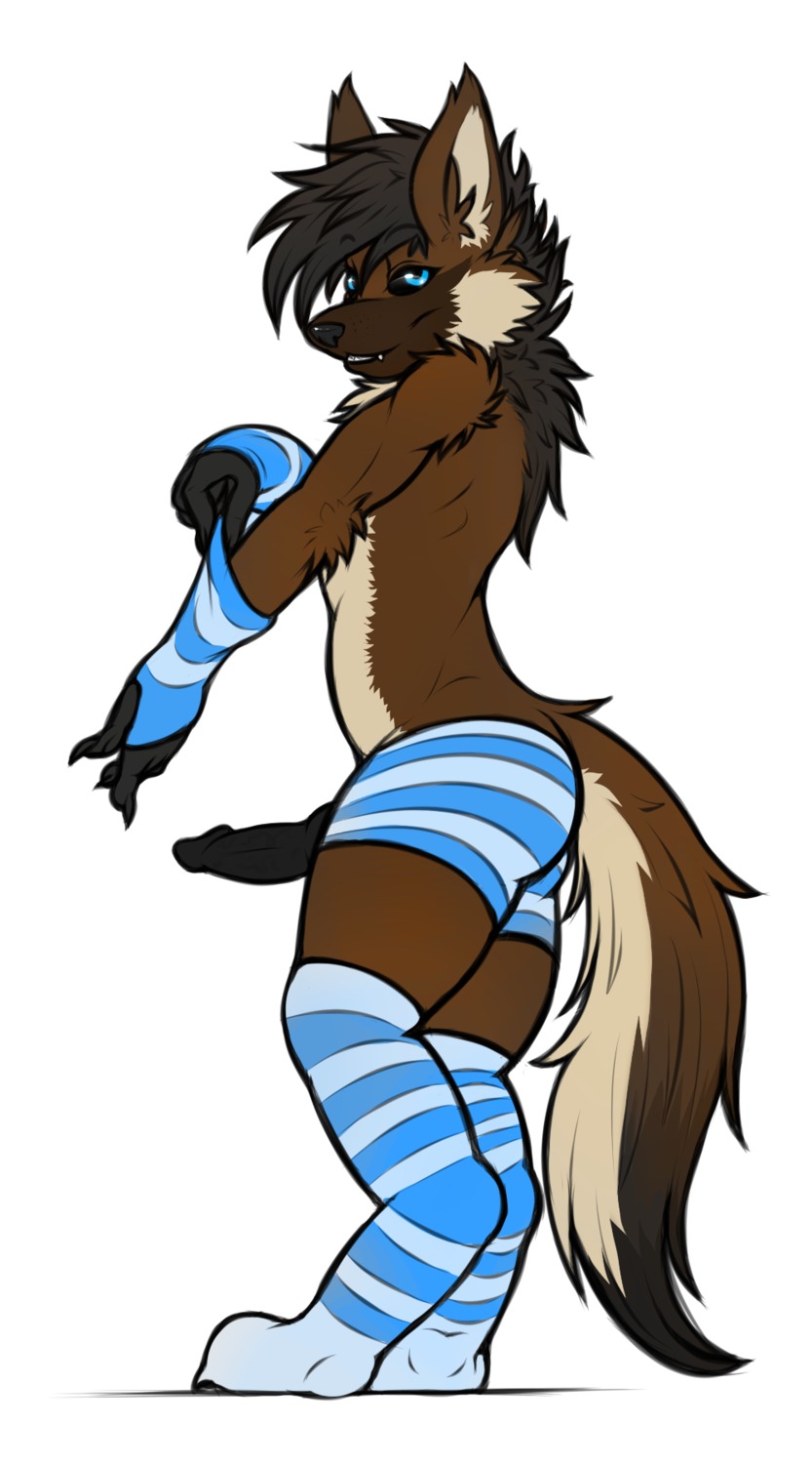 animal_genitalia animal_penis anthro arm_warmers armwear baroque_(bzooks) black_hair black_penis black_sclera blue_eyes brown_body brown_fur canid canine canine_genitalia canine_penis clothing e621 erection femboy fur genitals hair hi_res knot leg_warmers legwear looking_at_viewer male mammal maned_wolf pattern_armwear pattern_clothing pattern_legwear penis simple_background solo splashyu striped_armwear striped_clothing striped_legwear stripes tail teeth underwear white_body white_fur