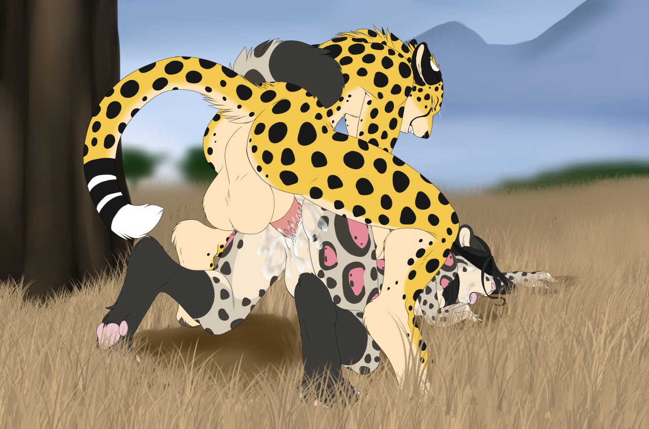 abdominal_bulge accelo all_fours anthro backsack balls big_balls blindfold bodily_fluids breath cheetah claws clouded_leopard cum duo e621 erection felid feline female from_behind_position genital_fluids genitals grass jasiri male male/female mammal messy nude open_mouth pantherine panting paws penile_spines penis perineum plant princess_tagalong scenery sex tail tiptoes tongue tree vaginal vulva wood