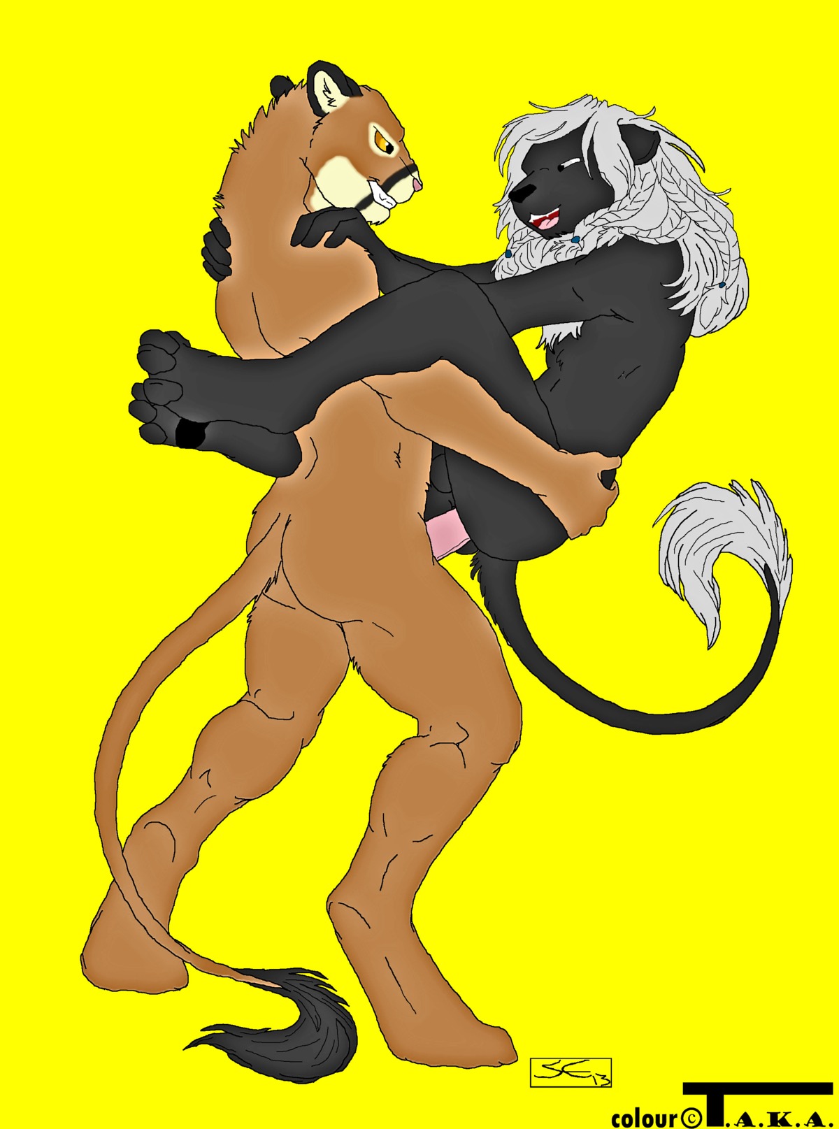2013 absurd_res anal anal_penetration anthro black_body black_fur braided_hair cougar duo e621 erection felid feline fur genitals grey_hair hair happy happy_sex hi_res hirple hybrid leg_wrap lion male male/male male_penetrated male_penetrating male_penetrating_male mammal mane nude pantherine penetration penis sabretoothed_ermine sex smaller_version_at_source stand_and_carry_position standing standing_sex t.a.k.a._(artist) takaa