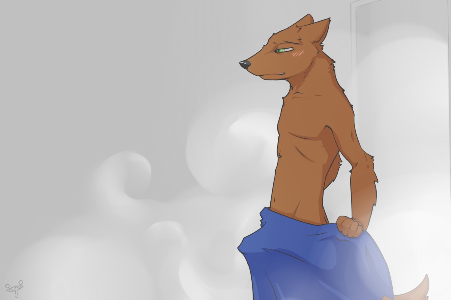 2012 3:2 5_fingers anthro biped black_nose blush brown_body brown_fur bulge canid canine clothed clothing covering covering_crotch covering_self detailed_background detailed_bulge door e621 erection fingers fur genital_outline green_eyes half-closed_eyes hi_res holding_object holding_towel inside male mammal narrowed_eyes navel nude penis_outline shower side_view solo standing steam syynx tail tenting topless towel towel_only