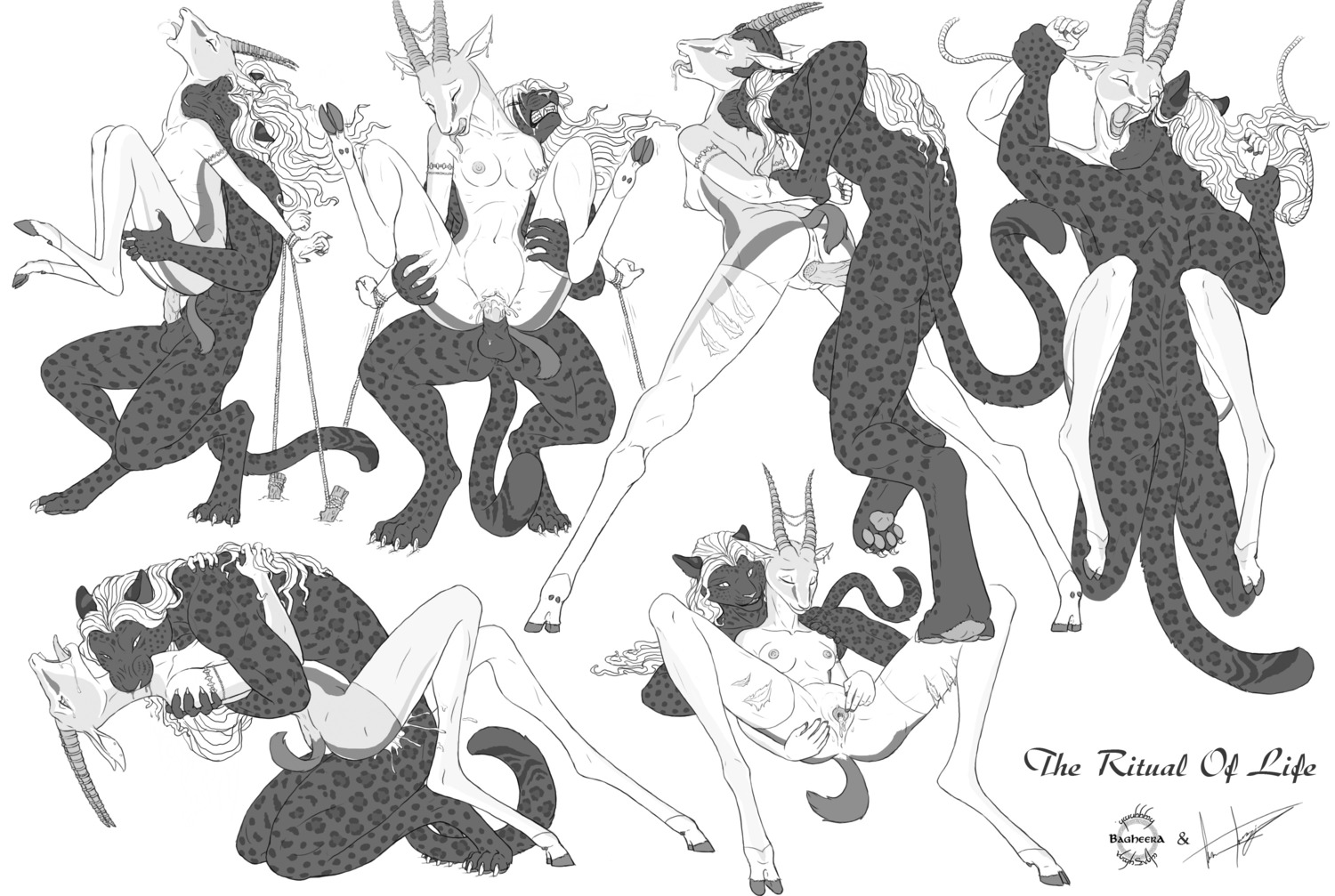 2015 accessory against_surface against_wall animal_genitalia animal_penis antelope anthro anthro_on_anthro anthro_penetrated anthro_penetrating anthro_penetrating_anthro anus bagheera bagheera_(fursona) balls bdsm bite biting_another biting_partner blood bodily_fluids bondage bound bovid breasts butt claw_marks claws clenched_teeth clitoris clothing cloven_hooves crouching cum cum_in_vagina cum_inside cum_splatter danger deep_victory_position dewclaw_hooves digital_media_(artwork) digitigrade dominant dominant_male drooling duo e621 ears_back ejaculation erection eyebrows eyes_closed fangs felid feline_genitalia feline_penis female female_penetrated fingering from_behind_position from_front_position fur furgonomics gaping_mouth gazelle genital_fluids genitals greyscale hands_behind_back hi_res hooves horn horn_accessory interspecies kneeling legs_up legwear looking_pleasured lying male male/female male_penetrating male_penetrating_female mammal markings masturbation messy monochrome multiple_positions multiple_scenes neck_bite nipples nude on_back open_mouth orgasm pawpads penetration penile penile_penetration penile_spines penis penis_in_vagina pivoted_ears predator/prey reverse_stand_and_carry_position rope rough_sex saliva scruff_bite sex sharp_teeth side_view spots spotted_body spotted_fur spread_legs spread_vulva spreading standing standing_sex stockings submissive submissive_female tail teeth thomson's_gazelle throat_biting tongue tongue_out true_antelope trusting underhoof unguligrade vaginal vaginal_masturbation vaginal_penetration vulva