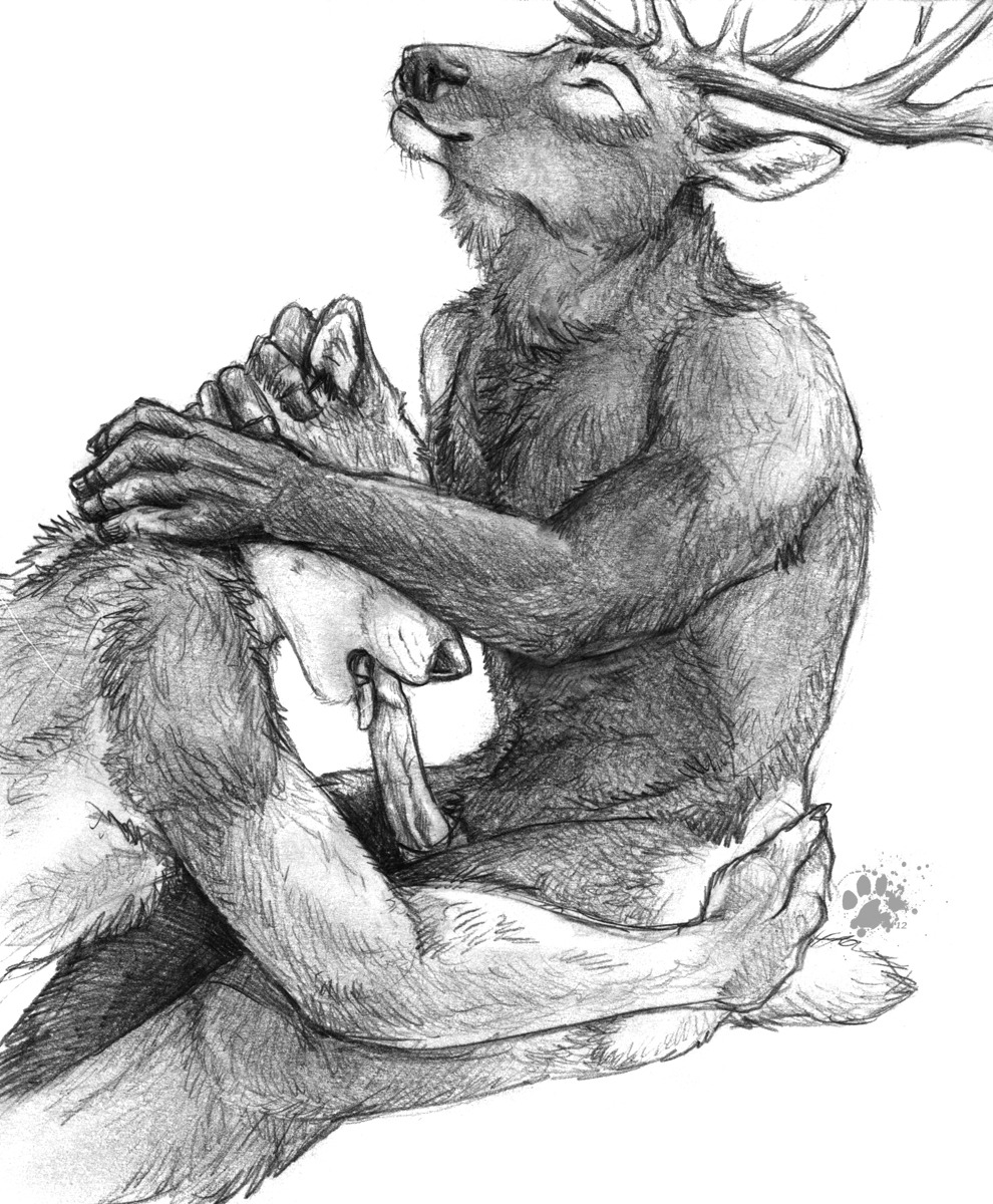 2012 animal_genitalia anthro anthro_dominating_anthro anthro_on_anthro antlers arm_tuft athletic athletic_anthro athletic_male back_tuft belly_tuft biceps blotch butt canid canine canis cervine chest_tuft chin_tuft claws countershade_fur countershading dark_arms dark_back dark_belly dark_body dark_chest dark_ears dark_face dark_fingers dark_flesh dark_fur dark_hands dark_legs dark_markings dark_neck dark_nose deer deltoids dipstick_ears dominant dominant_anthro dominant_male duo e621 ear_markings ear_tuft ears_back elk erection facial_tuft fellatio forced forced_oral forearm_muscles fur genitals graphite_(artwork) hand_on_butt hand_on_head head_grab head_tuft hi_res horn inner_ear_fluff leg_tuft legs_together licking light_arms light_back light_body light_butt light_chest light_claws light_eyelids light_face light_fingers light_fur light_hands light_inner_ear light_markings light_spots light_tail looking_pleasured male male/male male_dominating_male male_penetrated male_penetrating male_penetrating_male mammal markings monochrome multicolored_ears neck_tuft nude obscured_eyes oral oral_penetration penetration penile penis penis_lick pivoted_ears portrait pred_penetrated predator/prey prey_on_top reverse_countershading role_reversal scratches_volume_6 sex side_view simple_background sitting sitting_sex sketch slim_anthro slim_male small_tail spotted_face submissive submissive_anthro submissive_male tail tail_tuft three-quarter_portrait tongue tongue_out traditional_media_(artwork) tuft white_background wolf