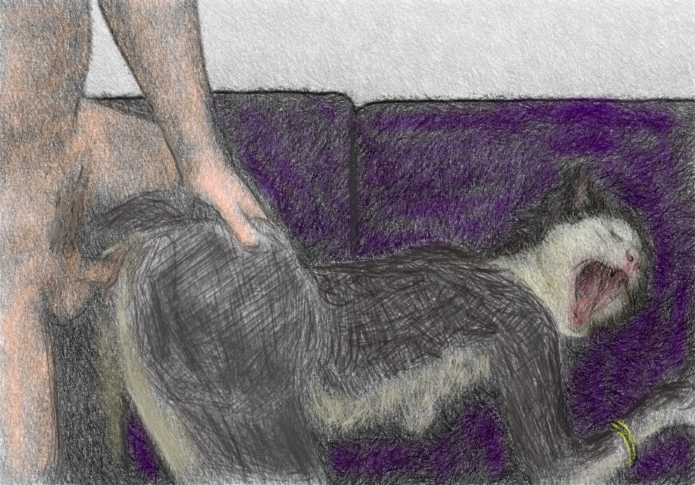 bent_over bracelet breasts domestic_cat duo e621 eyes_closed felid feline felis female furniture genitals human jewelry male male/female mammal open_mouth sex sofa tongue uncanny_valley unknown_artist vaginal vulva