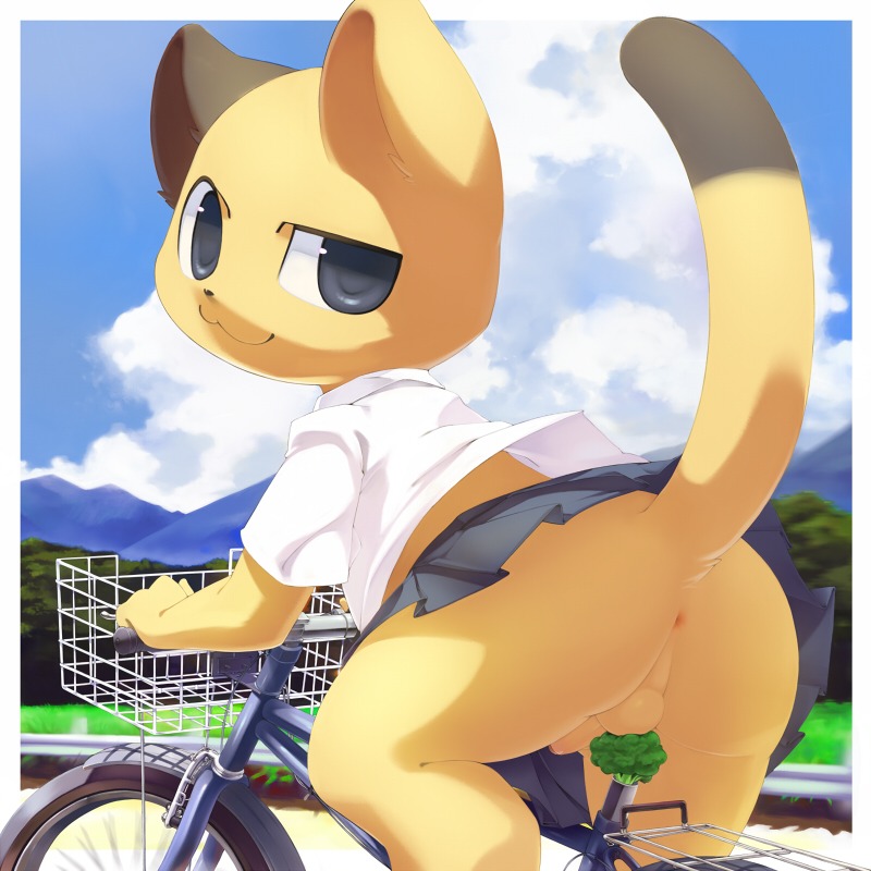1:1 anthro anus balls bicycle bottomwear broccoli butt clothed clothing crossdressing cycling digital_media_(artwork) domestic_cat e621 erection felid feline felis femboy food genitals kemono male mammal mumu penis plant pleated_skirt shirt shota skirt smug solo tail topwear vegetable vehicle white_dress_shirt why young young_anthro young_male