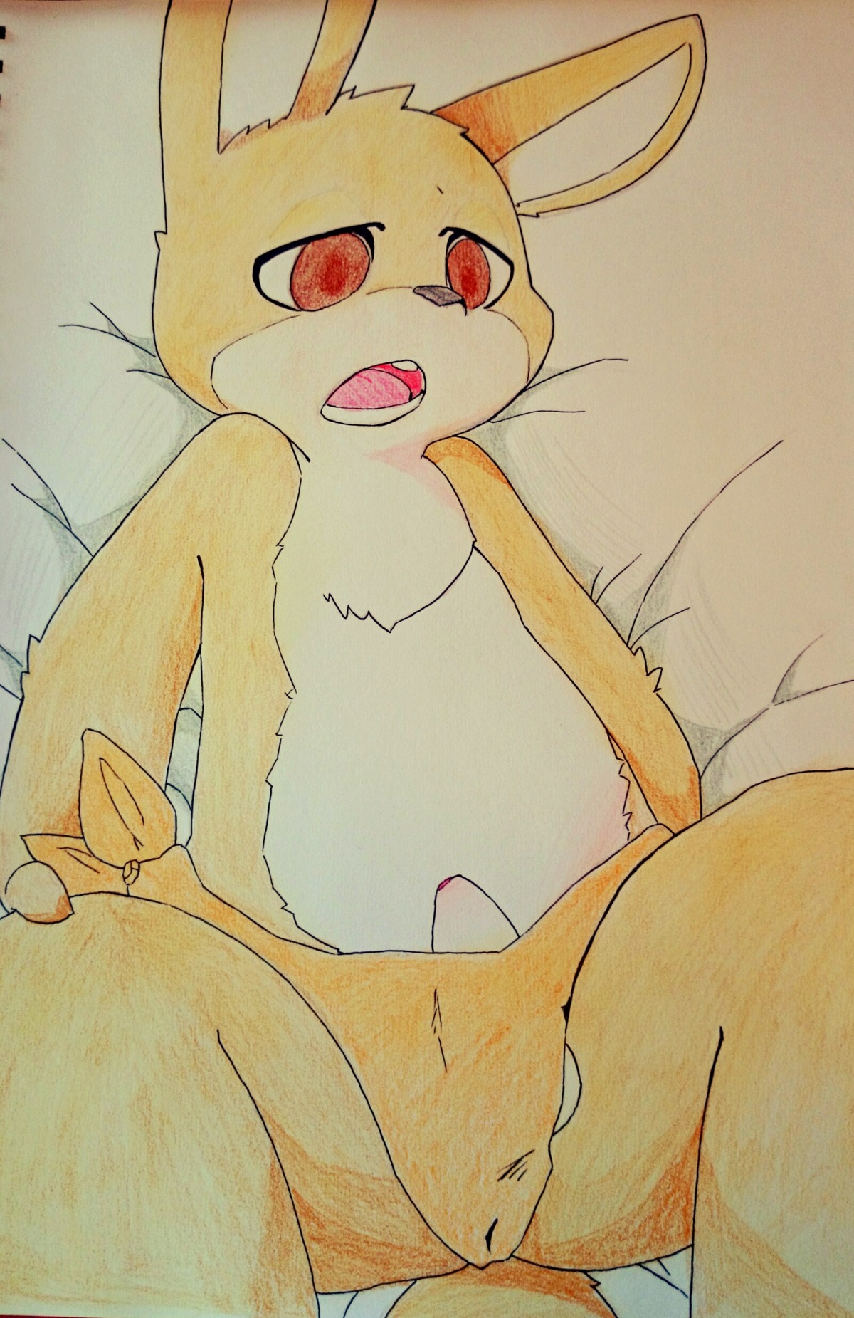 absurd_res anthro bed cloth e621 furniture genitals hi_res kuruitty lagomorph leporid male mammal open_mouth penis rabbit red_eyes shota simple_background solo white_background young young_anthro young_male