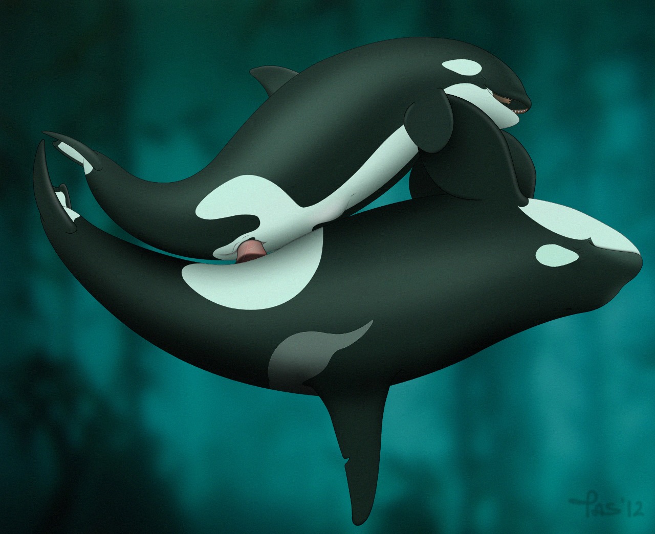 2012 abdominal_bulge animal_genitalia animal_penis aquatic cetacean cetacean_genitalia cetacean_penis dolphin duo e621 erection female female_penetrated feral feral_on_feral fully/fully_submerged fully_submerged genitals male male/female male_penetrating male_penetrating_female mammal nude oceanic_dolphin orca penetration penile penile_penetration penis penis_in_vagina sex sex_in_water tapering_penis tasuric toothed_whale underwater underwater_sex vaginal vaginal_penetration vulva water