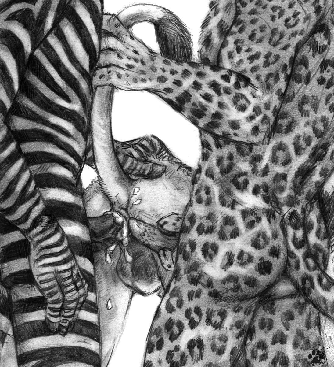 2012 anal anal_penetration animal_genitalia animal_penis anthro backsack balls blotch bodily_fluids butt cum cum_in_ass cum_inside e621 equid equine erection felid feline_genitalia feline_penis fingers from_behind_position fur genital_fluids genitals group group_sex hand_on_back hi_res holding_own_penis holding_penis hooved_fingers hooves leopard leopard_spots lion male male/male male_penetrated male_penetrating male_penetrating_male mammal monochrome nude pantherine penetration penile_spines penis predator/prey predator_penetrated prey_penetrating prey_penetrating_predator raised_tail role_reversal scratches_volume_6 sex simple_background spots stripes tail tail_grab tail_tuft threesome traditional_media_(artwork) trio tuft white_background zebra