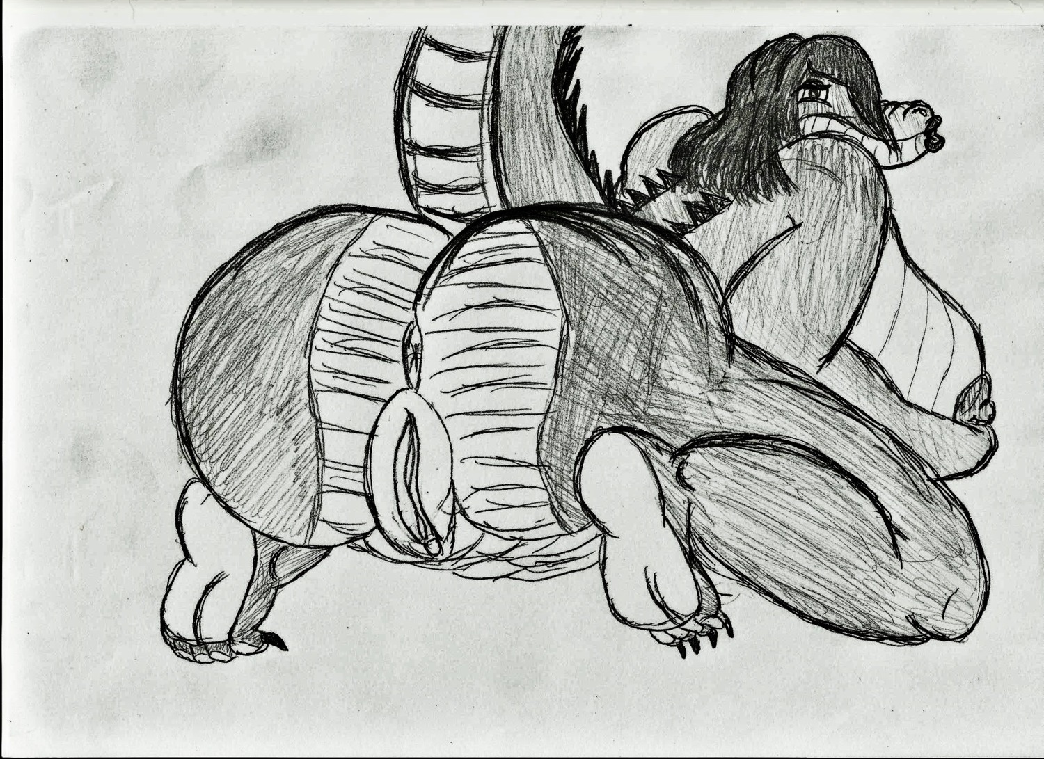 anthro anus ass back_view barefoot breasts claws female female_only greyscale hair monochrome nude pussy raised_tail rule34 rule_63 sketch solo tagme tail tick-tock vulva