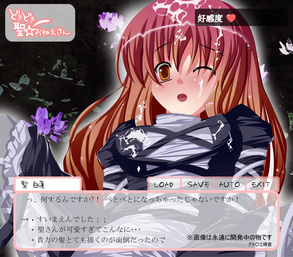 female hijiri_byakuren rule34 tagme touhou