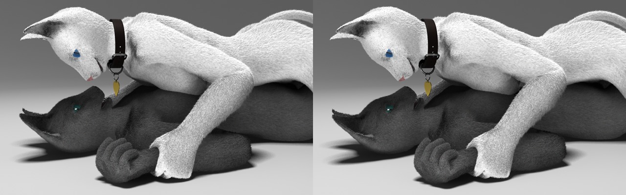 3d_(artwork) anthro blue_eyes breast_squish breasts breasts_frottage collar cross_eye_stereogram digital_media_(artwork) dominant dominant_female duo e621 eye_contact felid female female/female female_on_bottom female_on_top from_front_position fur green_eyes heart_symbol looking_at_another lying mammal missionary_position on_back on_bottom on_top open_mouth pinned rlctntfr sex side_by_side_stereogram simple_background smile squish stereogram submissive submissive_female tail whiskers