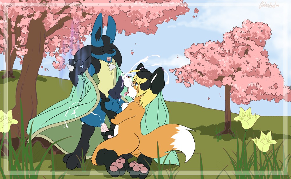 anthro celestial color cum day fur furry furry_only handjob interspecies lucario male male_only masturbation multiple_males no_humans outdoors penis pokemon pokemon_(species) rule34 yaoi
