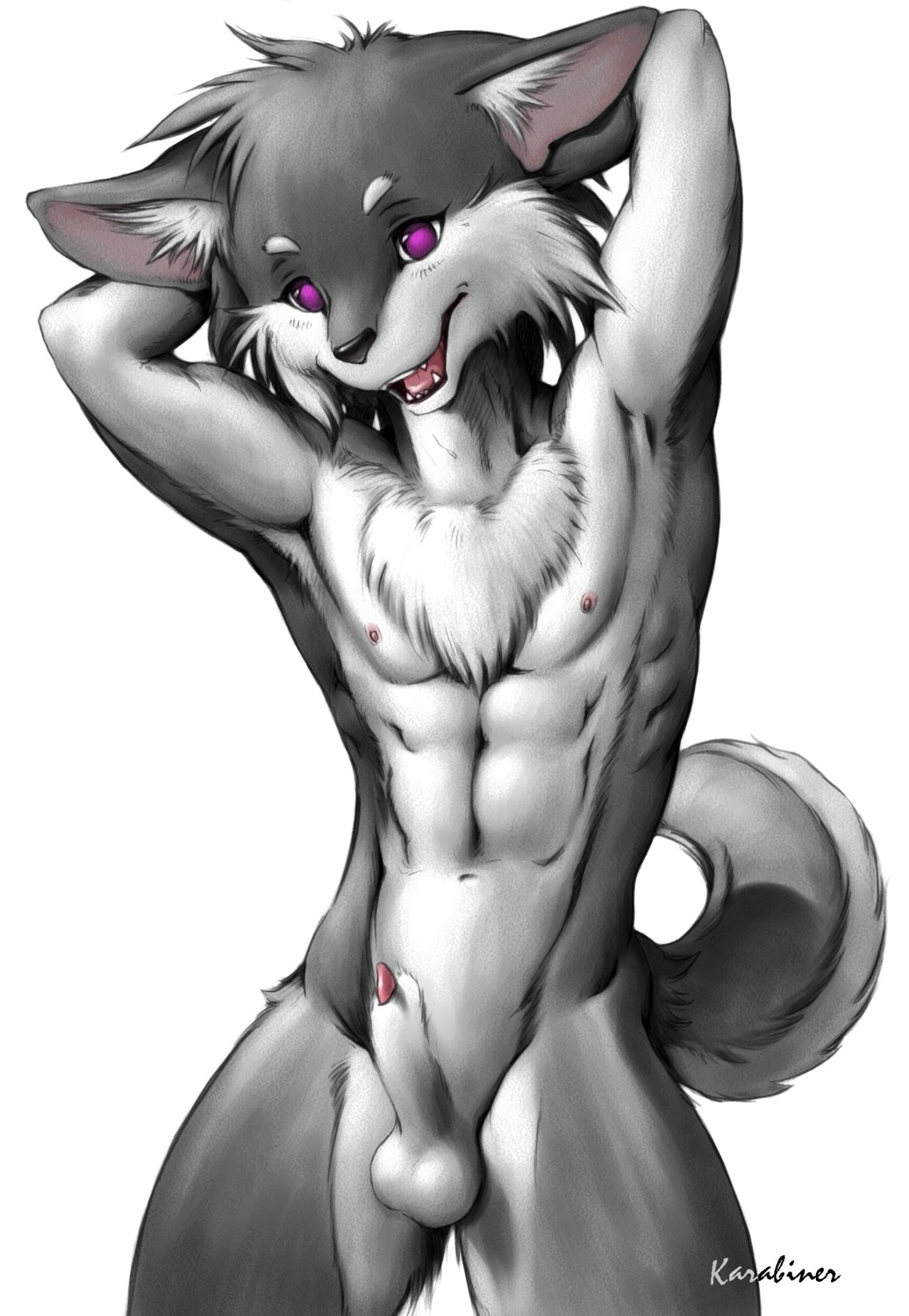 2010 animal_genitalia animal_penis anthro balls canid canine canine_genitalia canine_penis e621 fur genitals grey_body grey_fur hands_behind_head hi_res karabiner looking_at_viewer male mammal nipples nude penis penis_tip purple_eyes sheath simple_background slim solo tail white_background